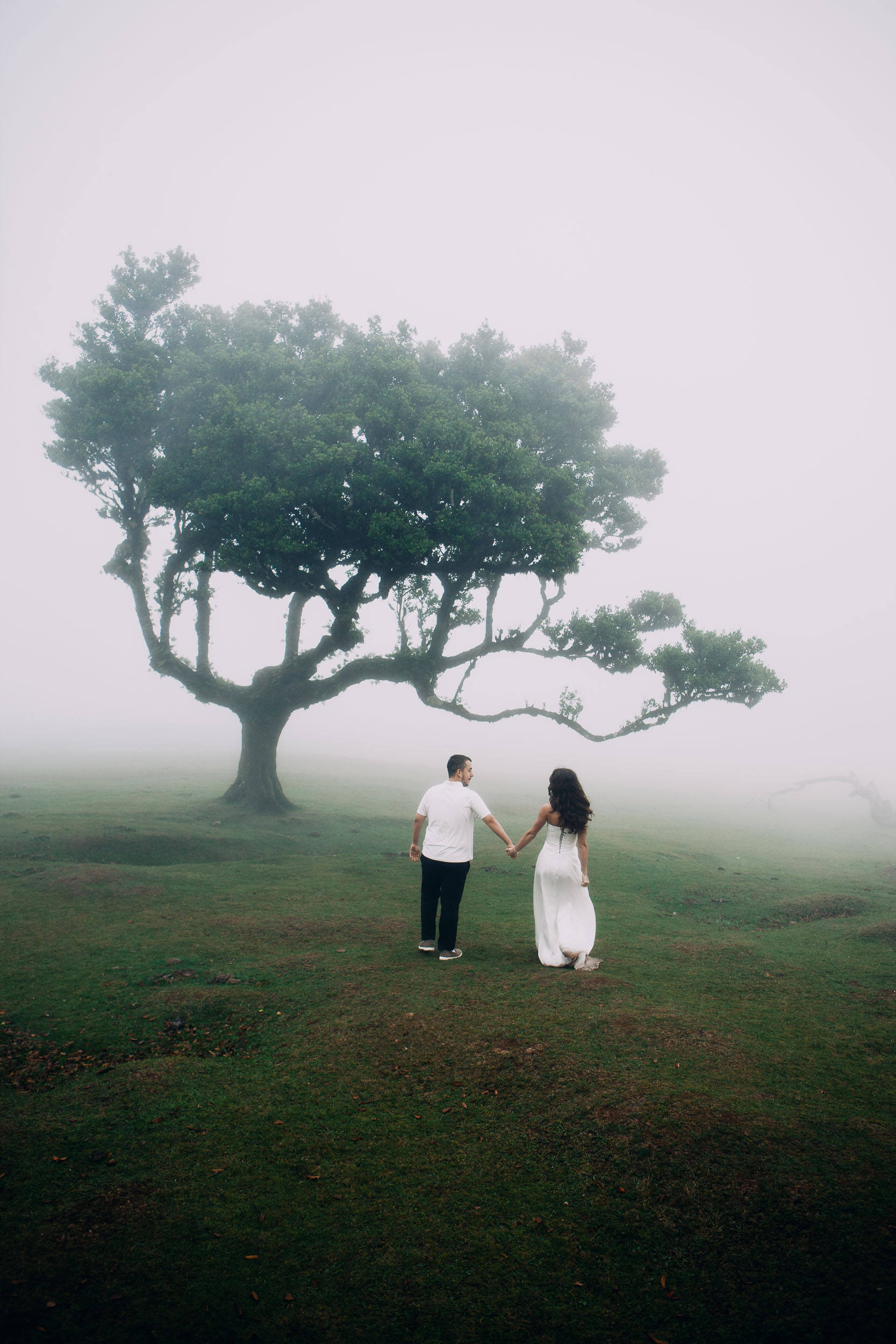 Couple seen from behind walking toward a solitary laurel on the Fanal plateau, Madeira
