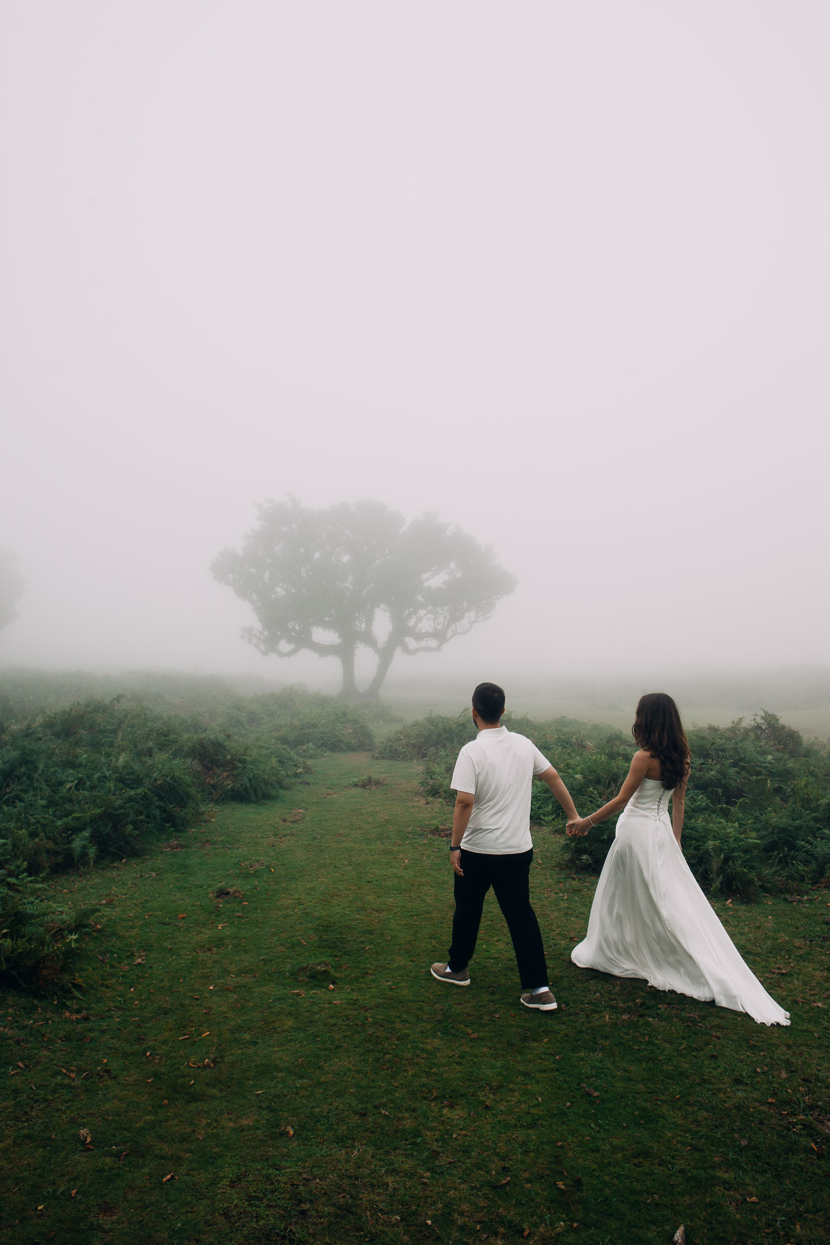 Couple walking away toward a lone laurel that fades into cloud, Fanal Forest, Madeira