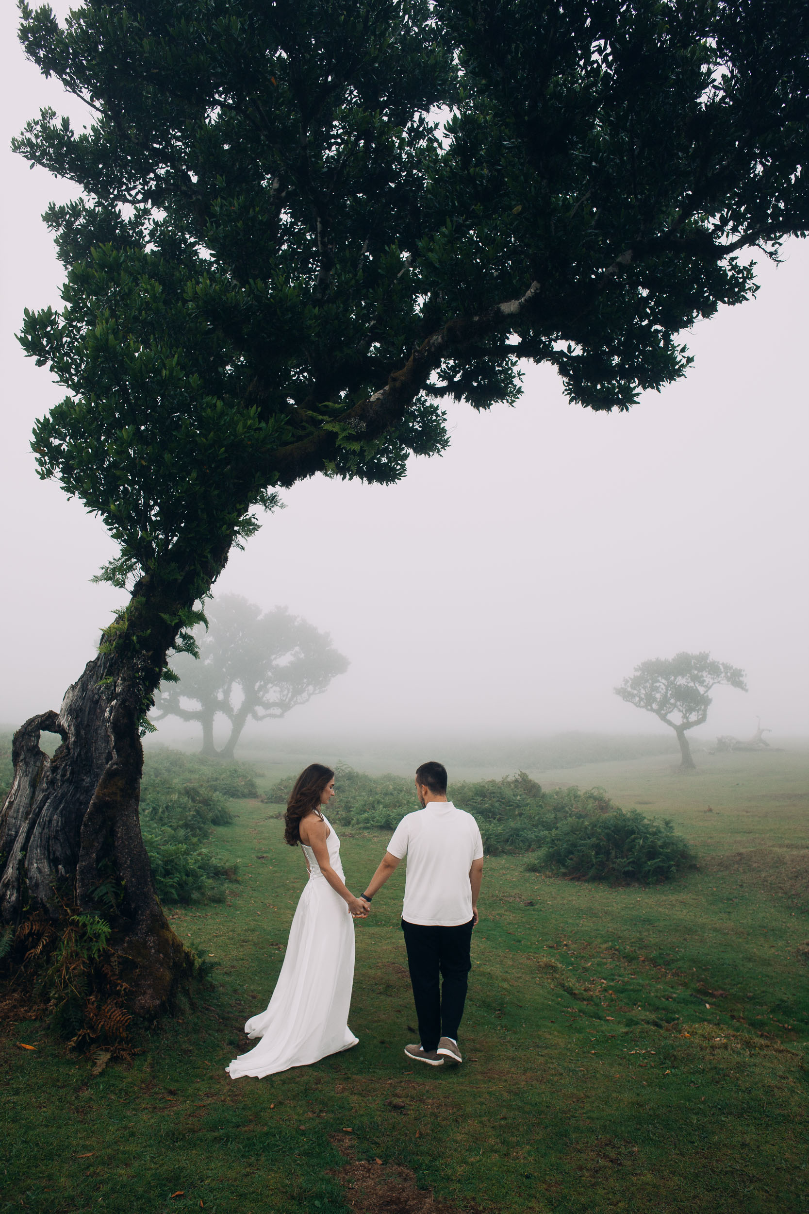 Couple from behind holding hands beside a massive mossy laurel, Fanal Forest, Madeira