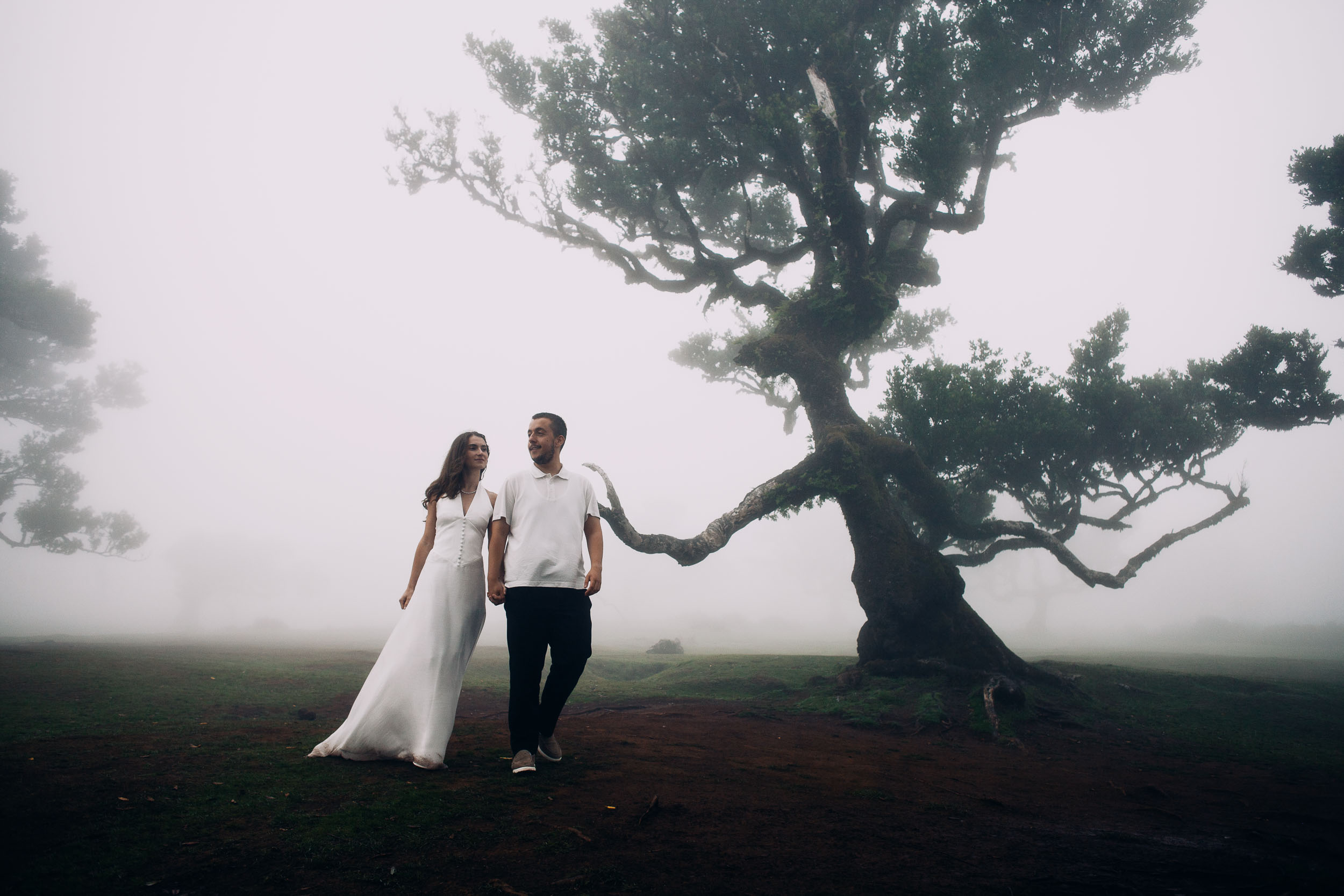 Couple walking together with a broad laurel filling the right of the frame, Fanal Forest, Madeira