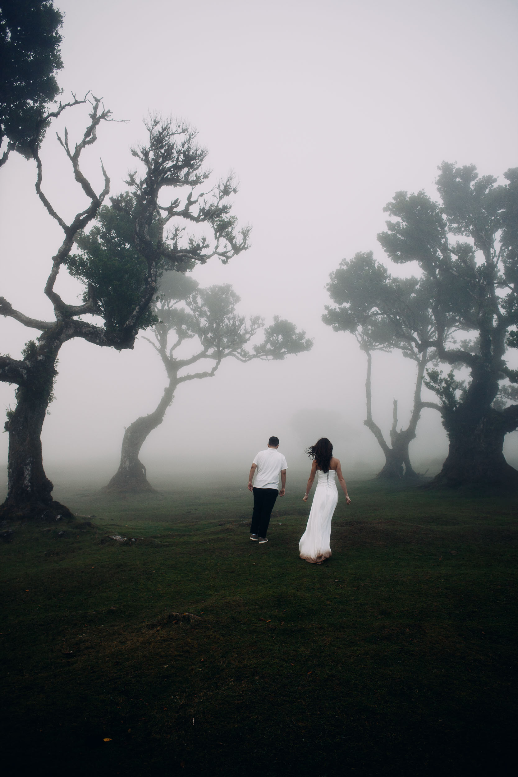 Walking into a stand of laurels until the fog closes behind them, Fanal Forest, Madeira