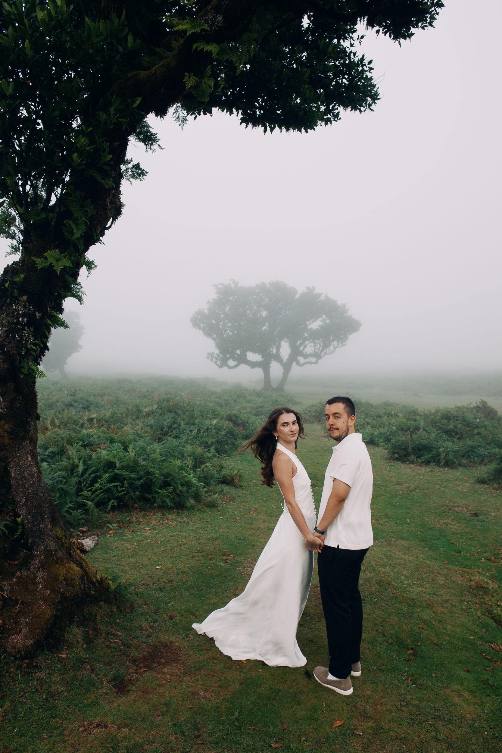 Couple holding hands in front of a single laurel standing in cloud, Fanal Forest, Madeira