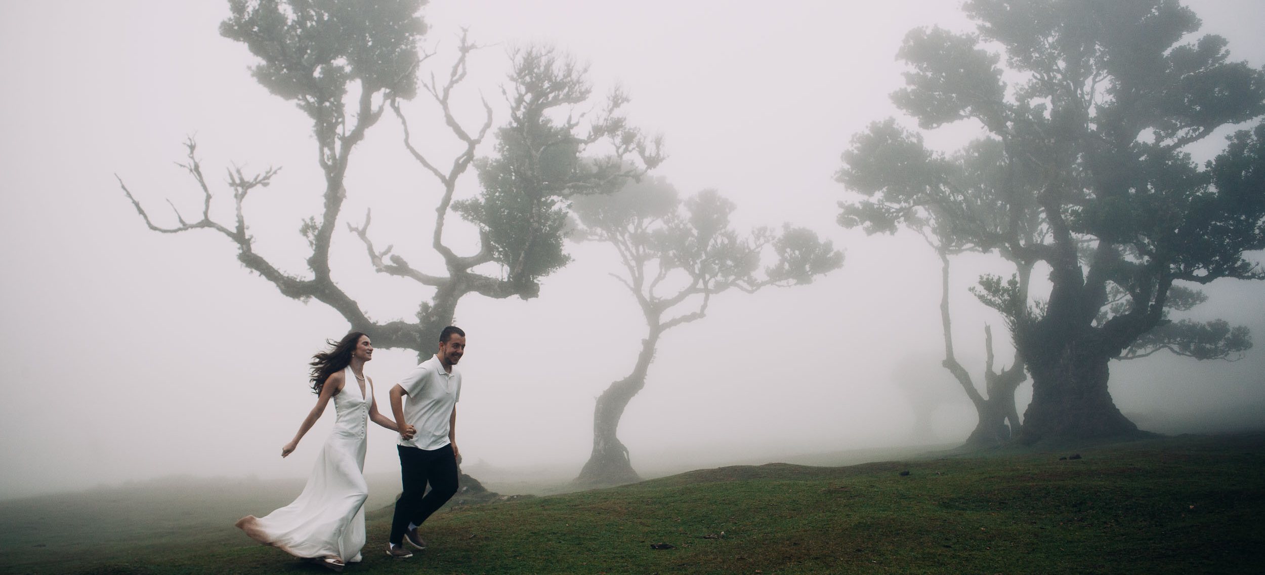 Couple walking hand in hand across the wet grass between ancient laurels in heavy fog, Fanal Forest, Madeira