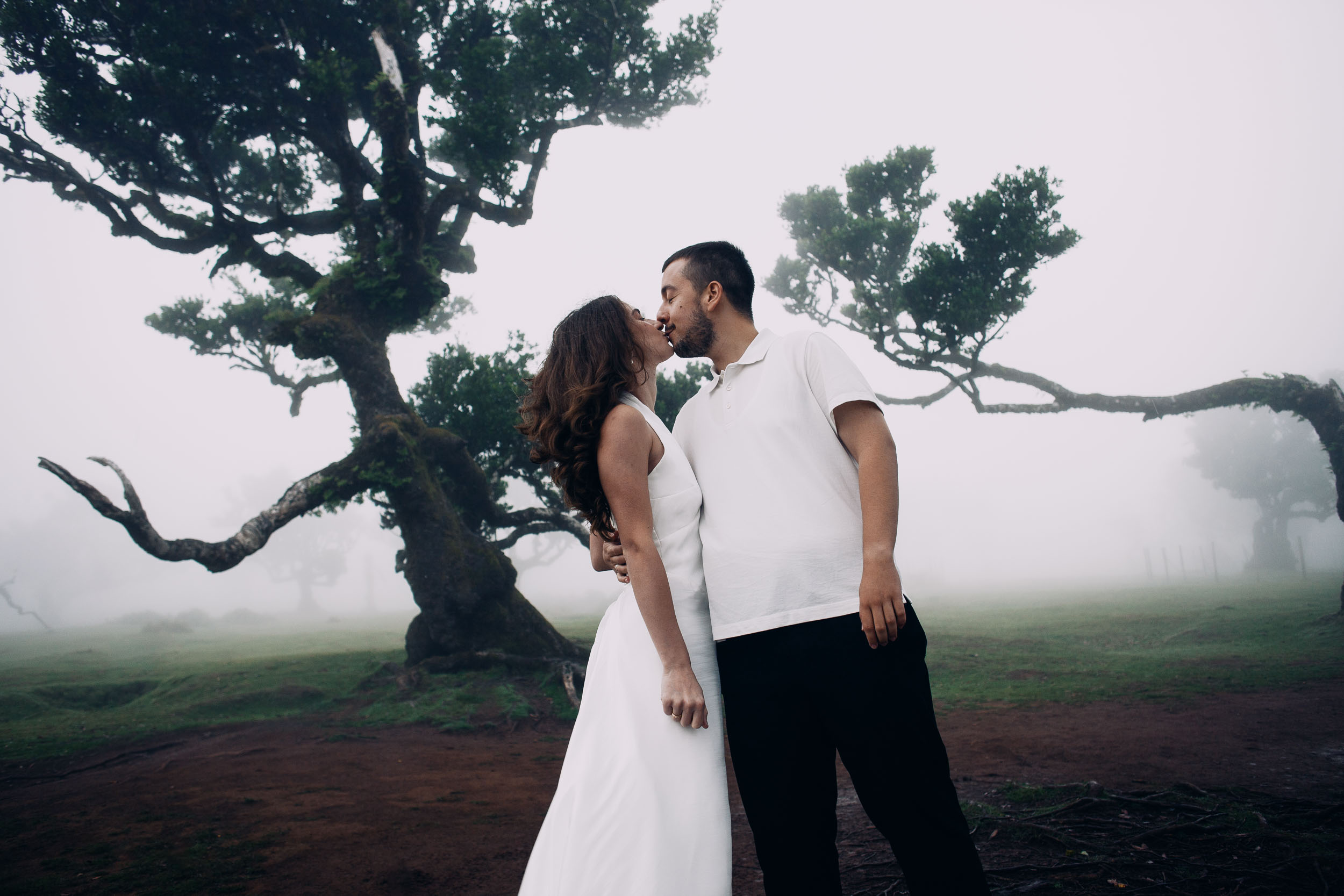 Couple kissing beneath a laurel canopy in the fog, Fanal Forest, Madeira