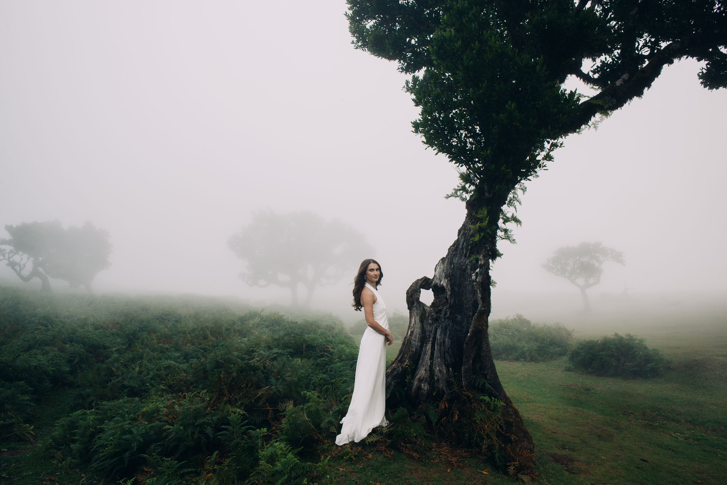 A trunk hollow enough to stand inside, moss to the height of a person, Fanal Forest, Madeira
