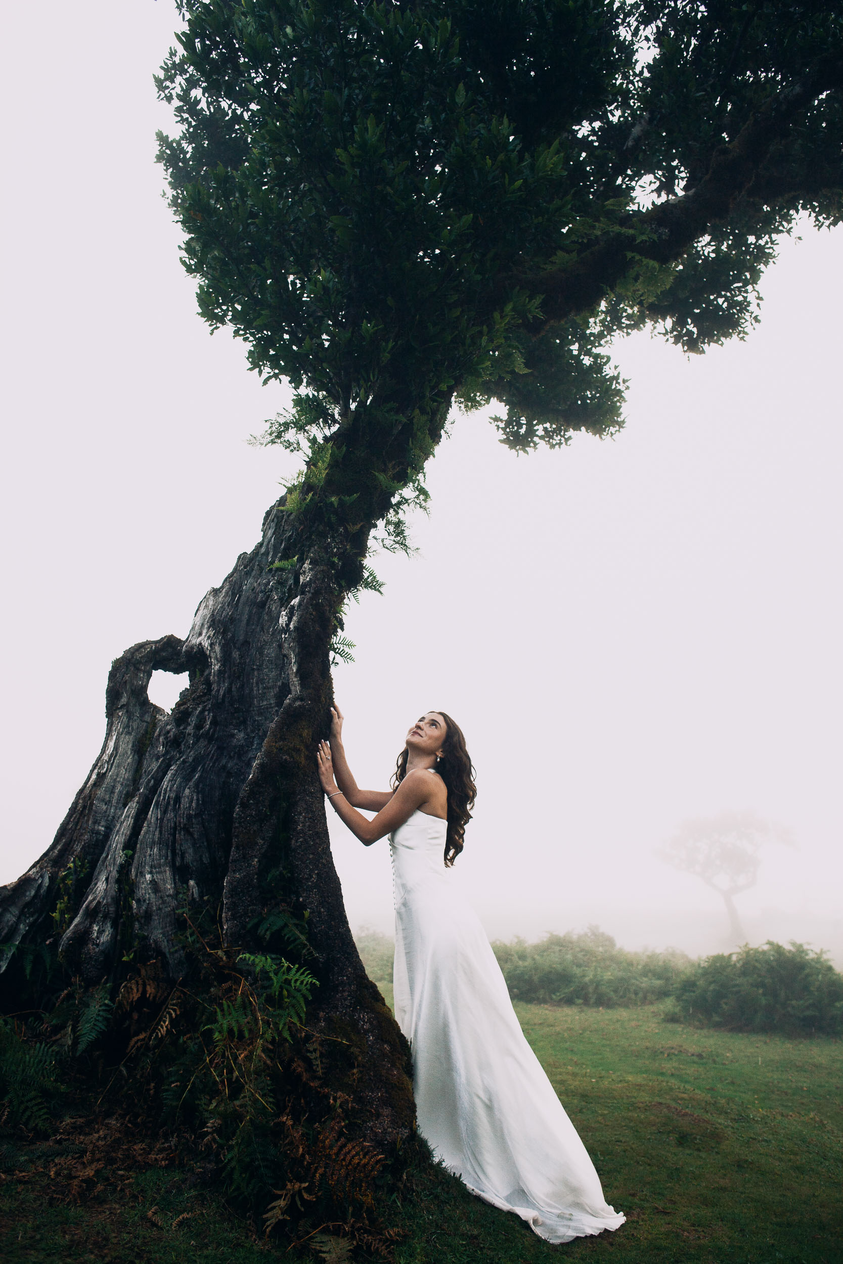Both hands on the trunk of a centuries-old laurel, Fanal Forest, Madeira