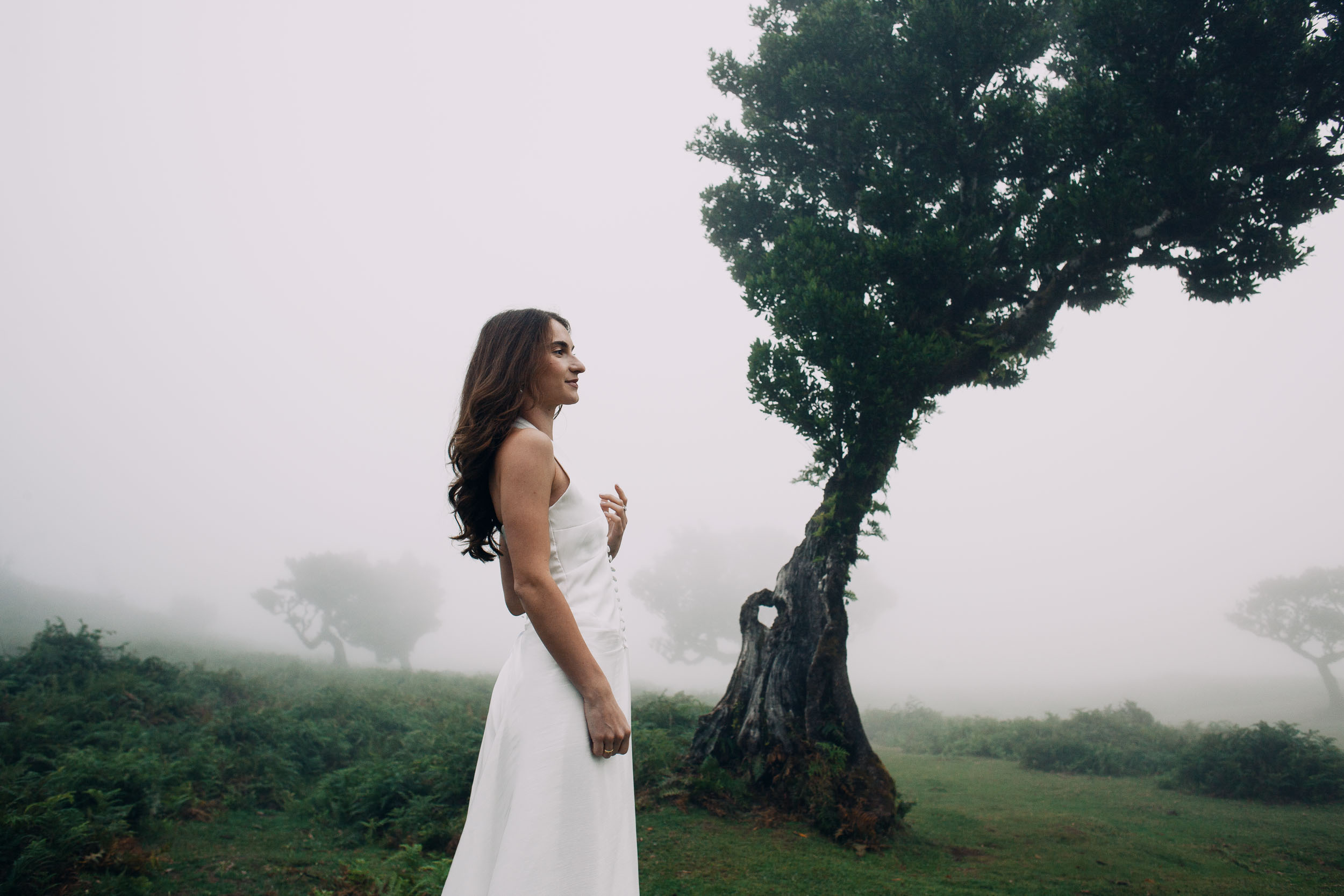 Profile portrait in soft fog light, Fanal Forest, Madeira