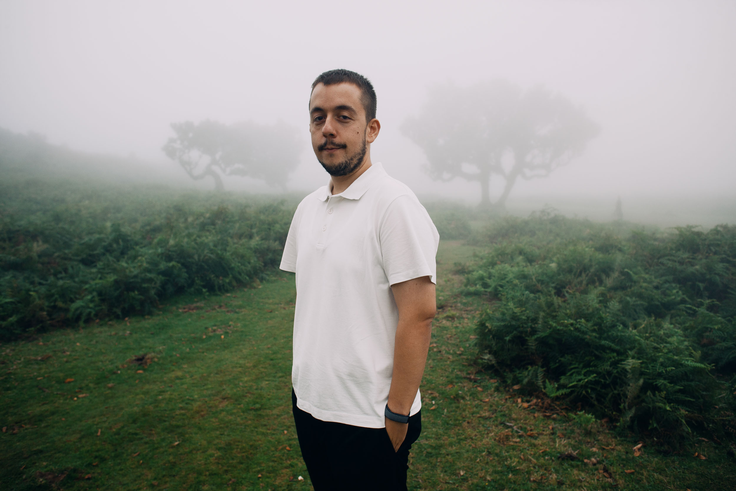 Second portrait of him on the plateau, laurels fading into fog, Fanal Forest, Madeira