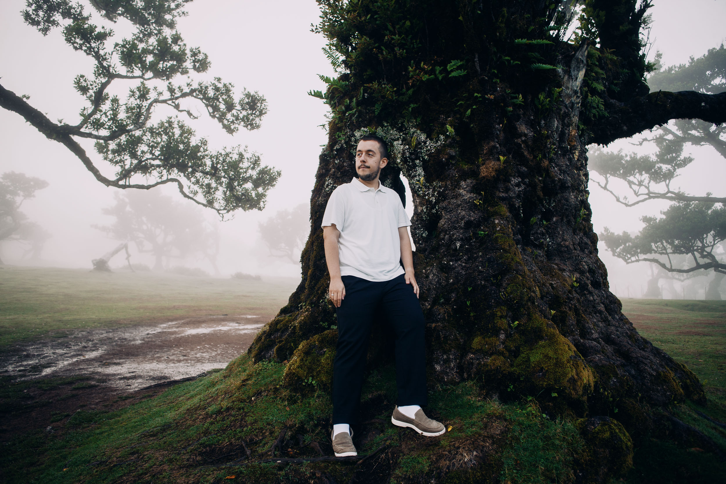 He leans against a moss and fern covered laurel trunk, Fanal Forest, Madeira