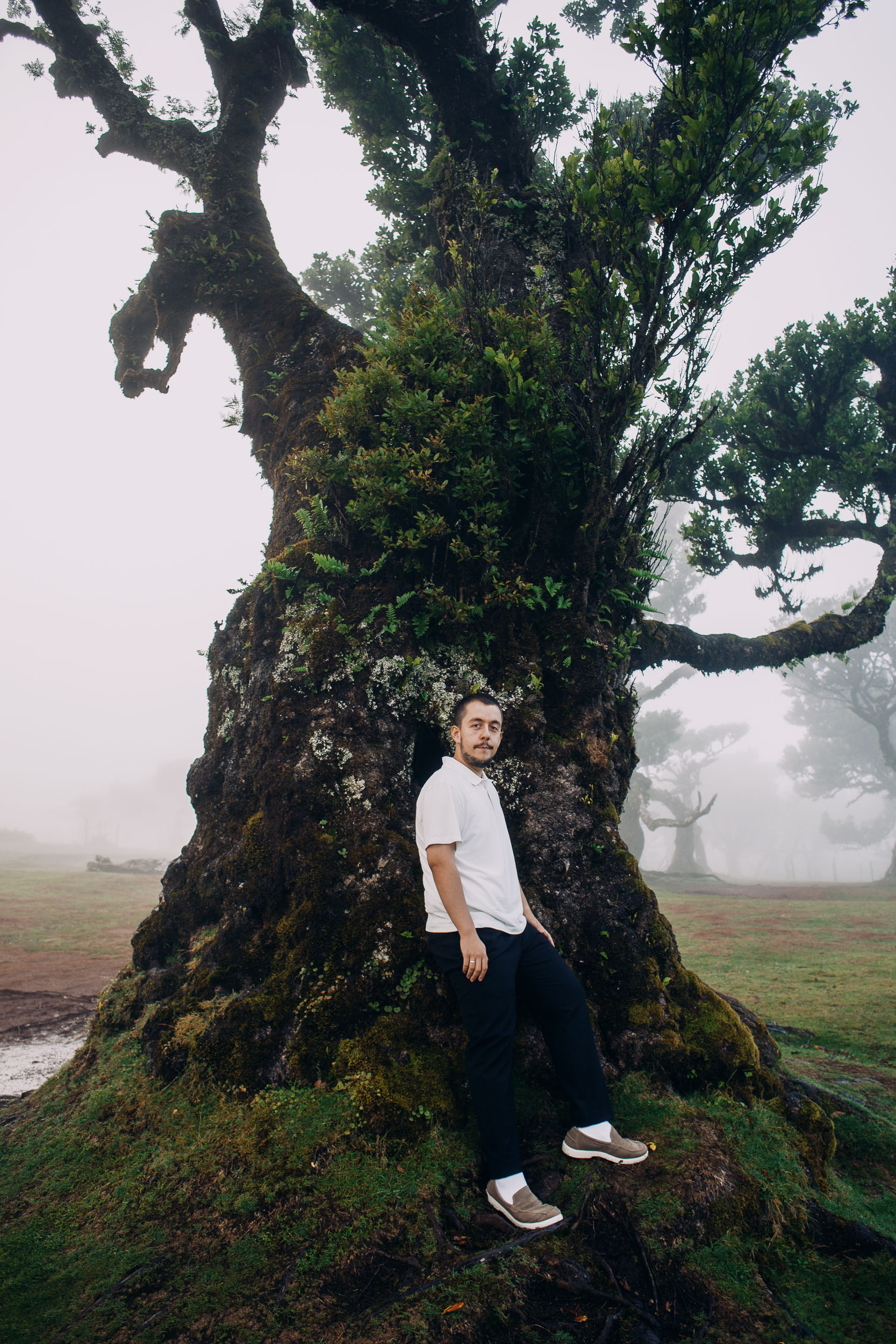 Full-length portrait beside a laurel trunk wrapped in ferns and lichen, Fanal Forest, Madeira