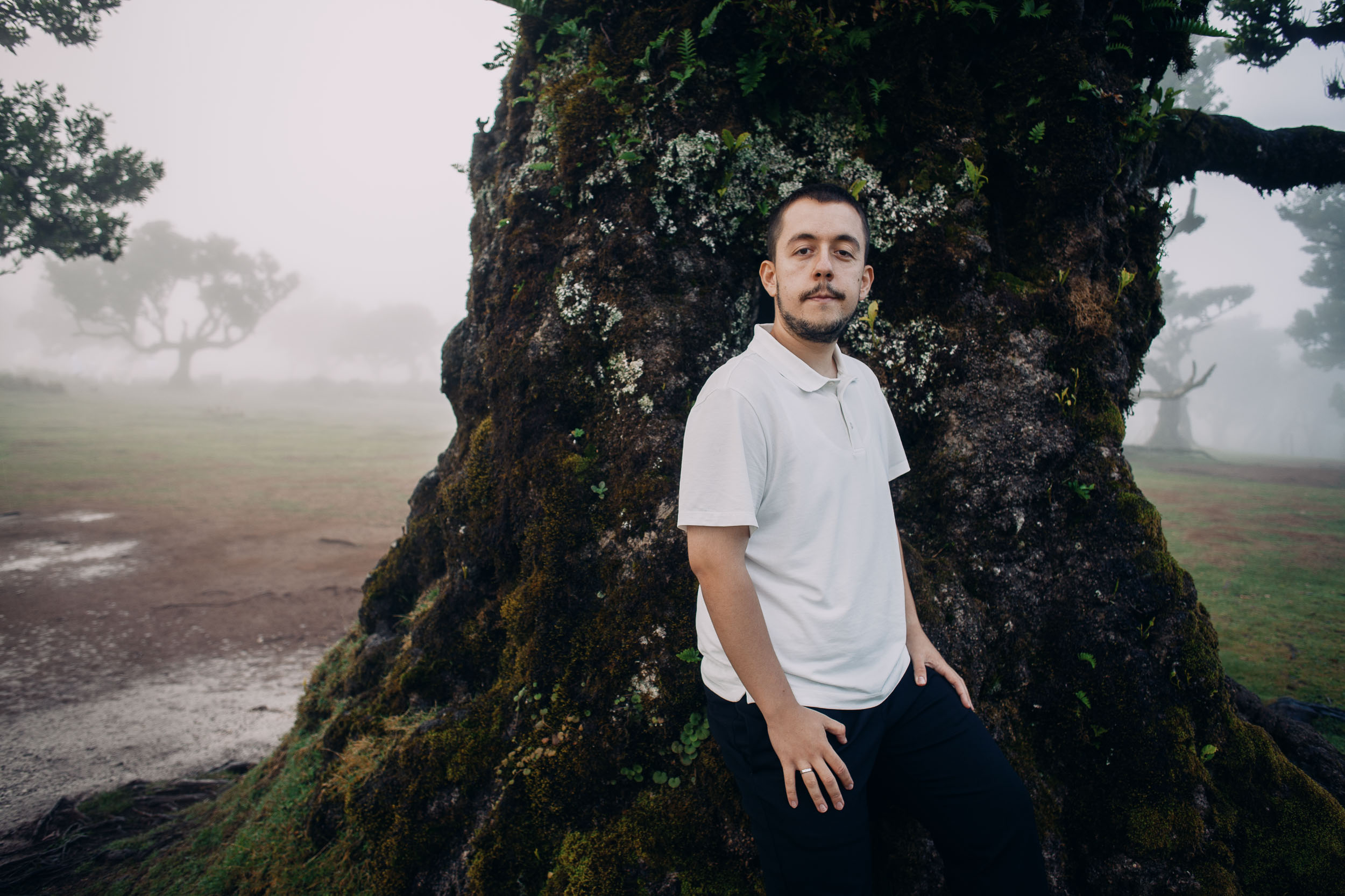 Closer portrait against the mossy bark of an old laurel, Fanal Forest, Madeira