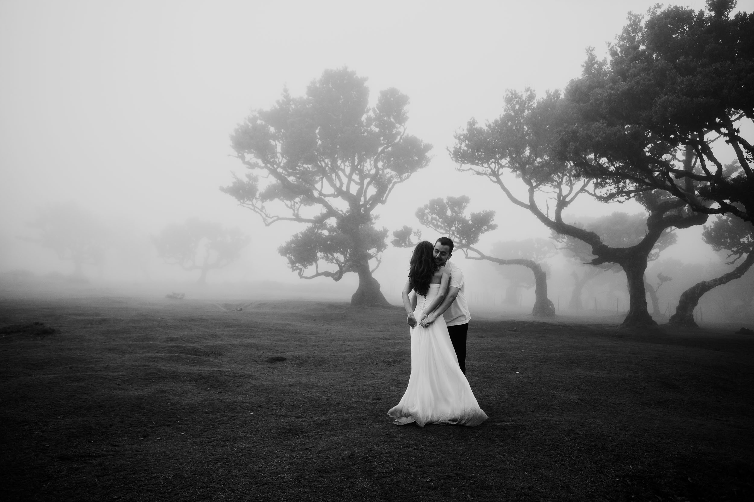 The same plateau in black and white, shapes rather than detail, Fanal Forest, Madeira