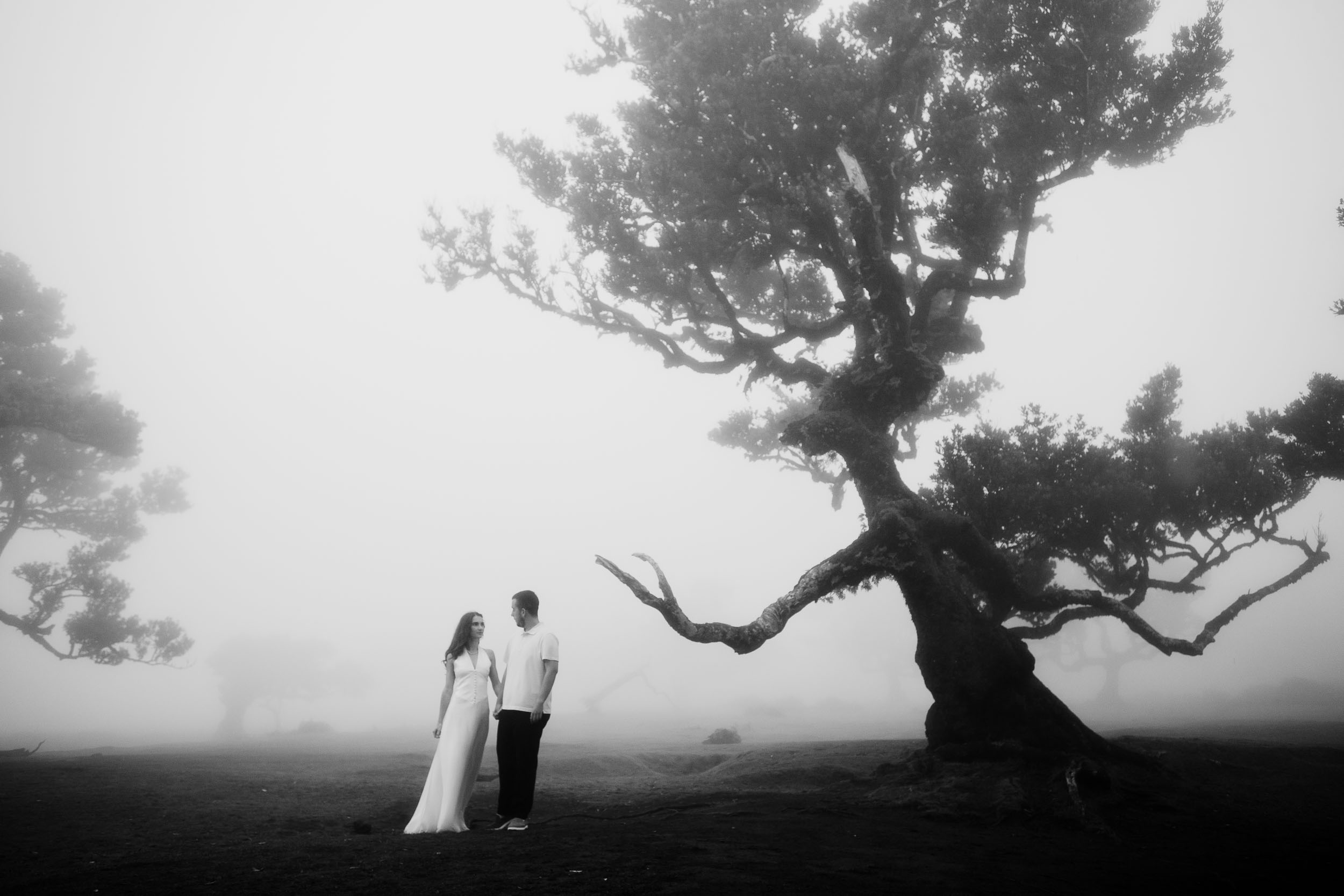 Black and white wide frame, the couple small beneath a huge laurel, Fanal Forest, Madeira
