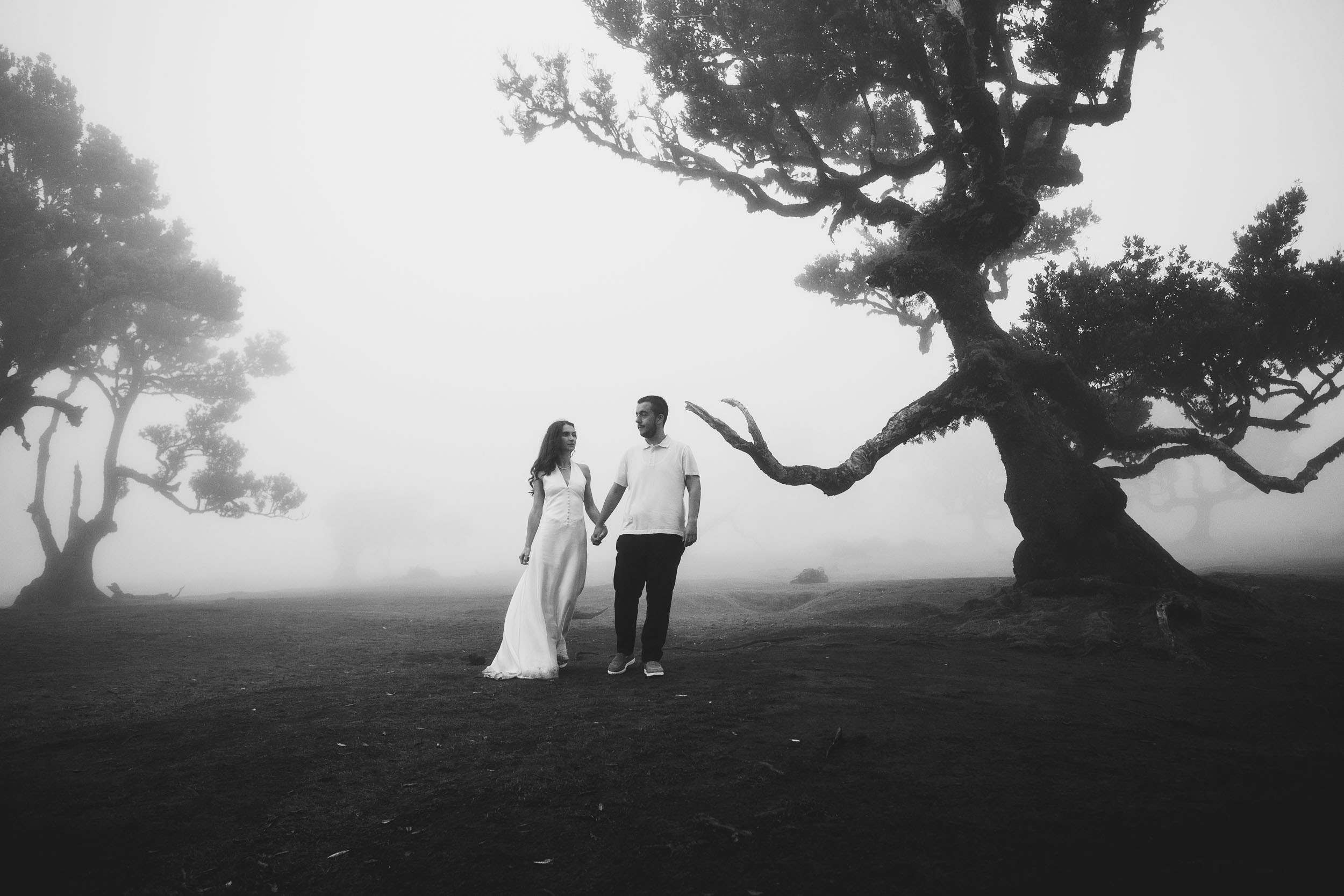 Black and white frame of the couple walking past a broad laurel, Fanal Forest, Madeira