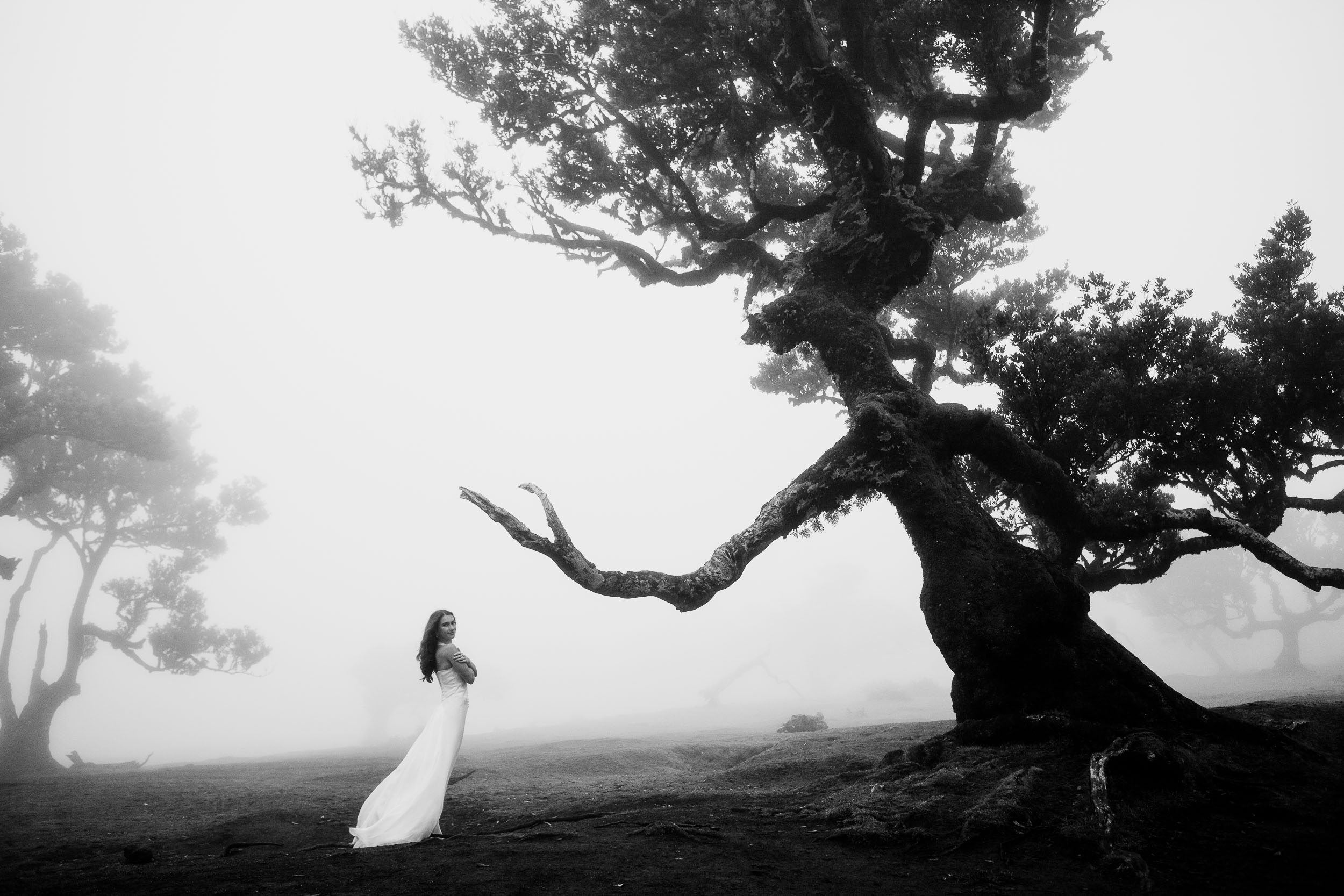 Black and white portrait of her under a large laurel, Fanal Forest, Madeira