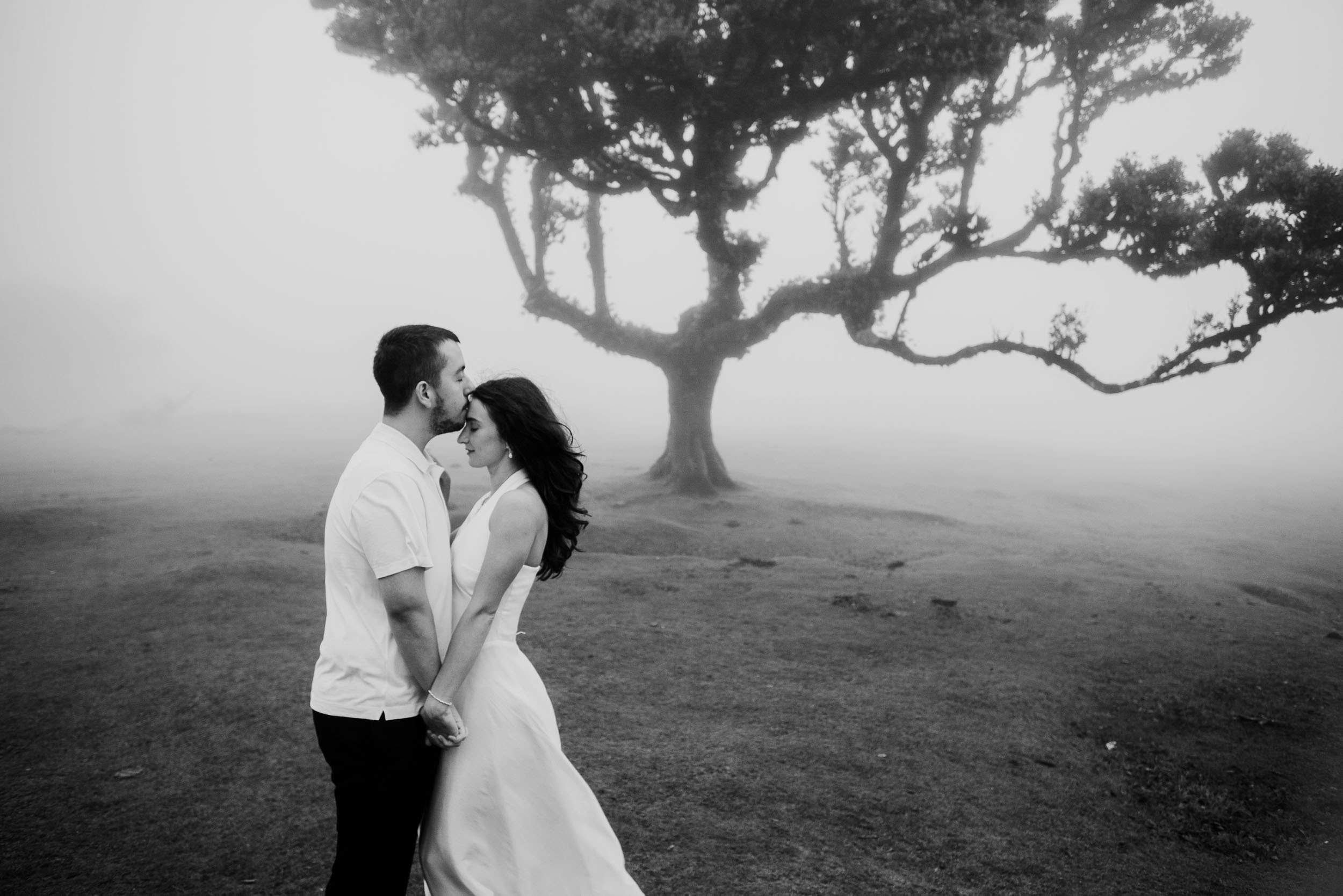 Black and white forehead kiss with a laurel canopy behind, Fanal Forest, Madeira