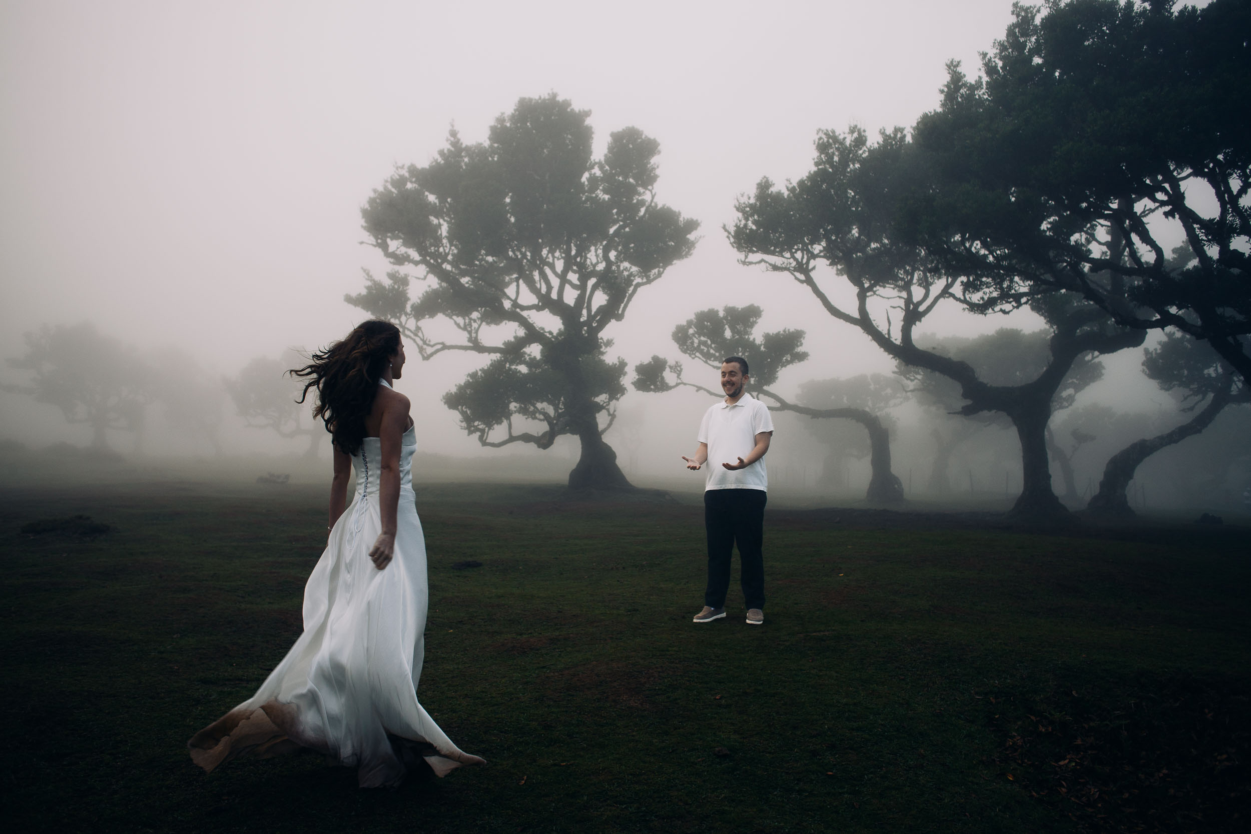 She crosses the grass toward him, laurels standing in the mist, Fanal Forest, Madeira