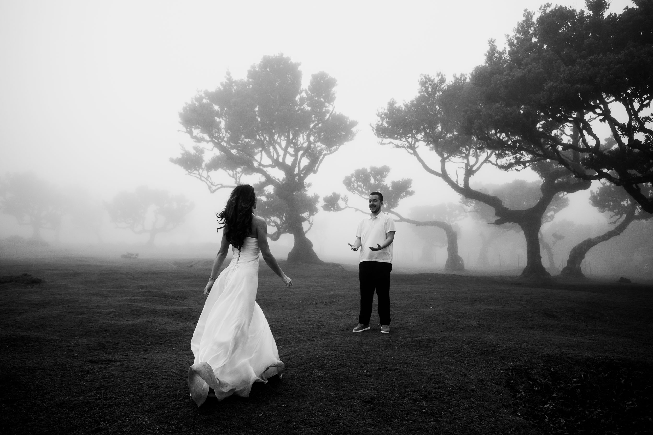 Black and white frame of the same moment, fog filling the grove, Fanal Forest, Madeira