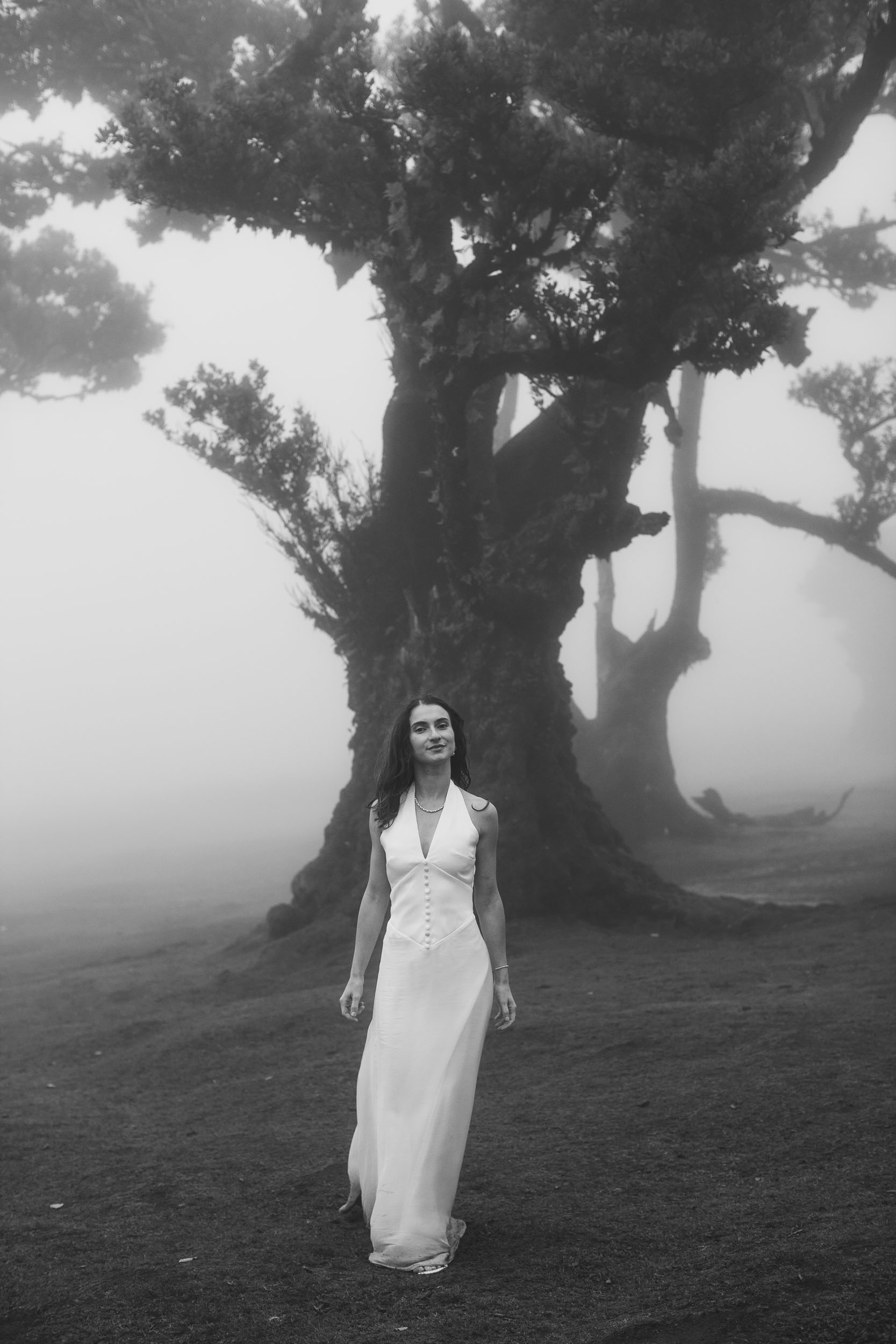 Black and white portrait beneath a great laurel, Fanal Forest, Madeira