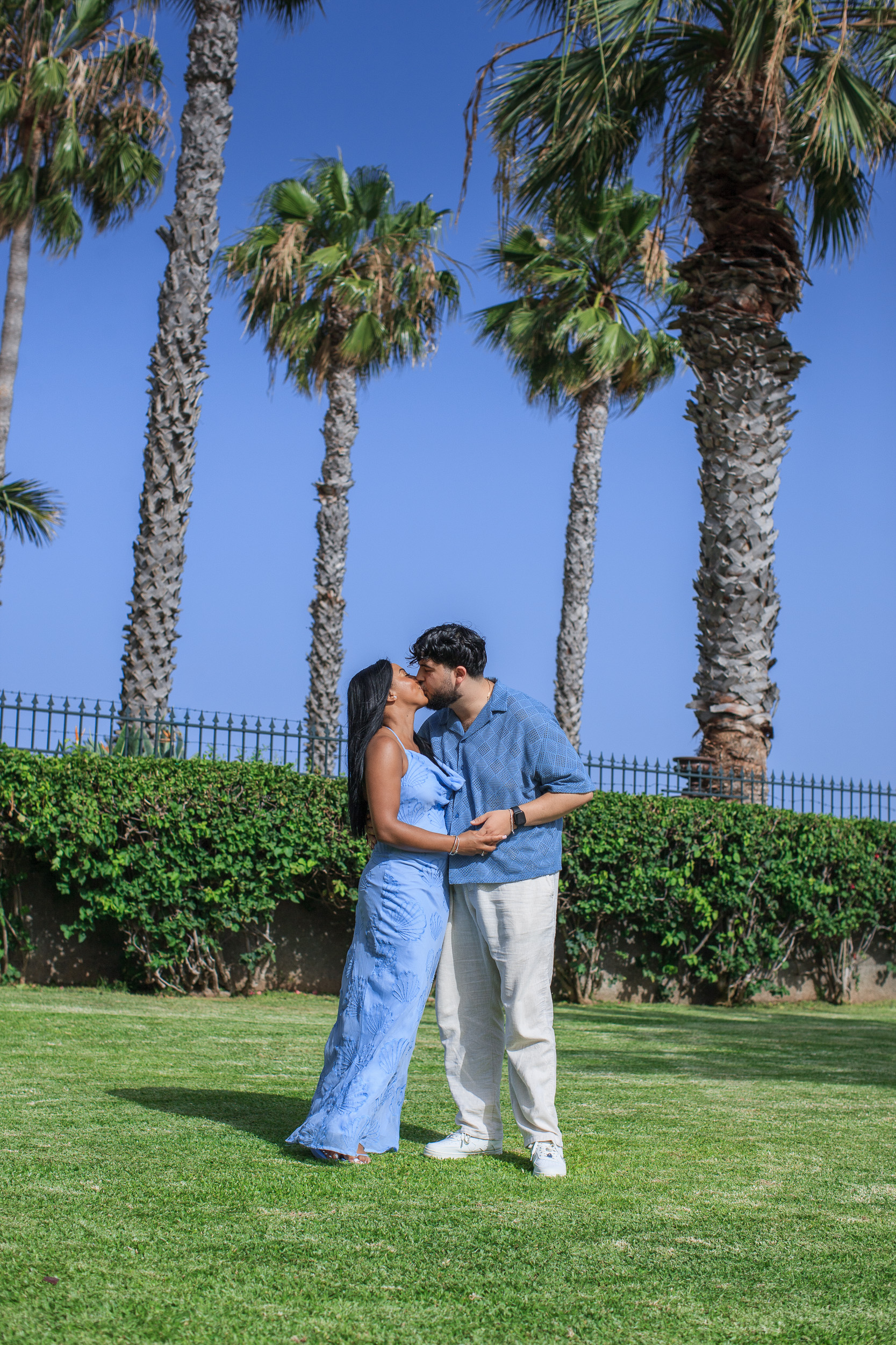 A kiss on the grass beneath the palm trees in central Funchal, Madeira