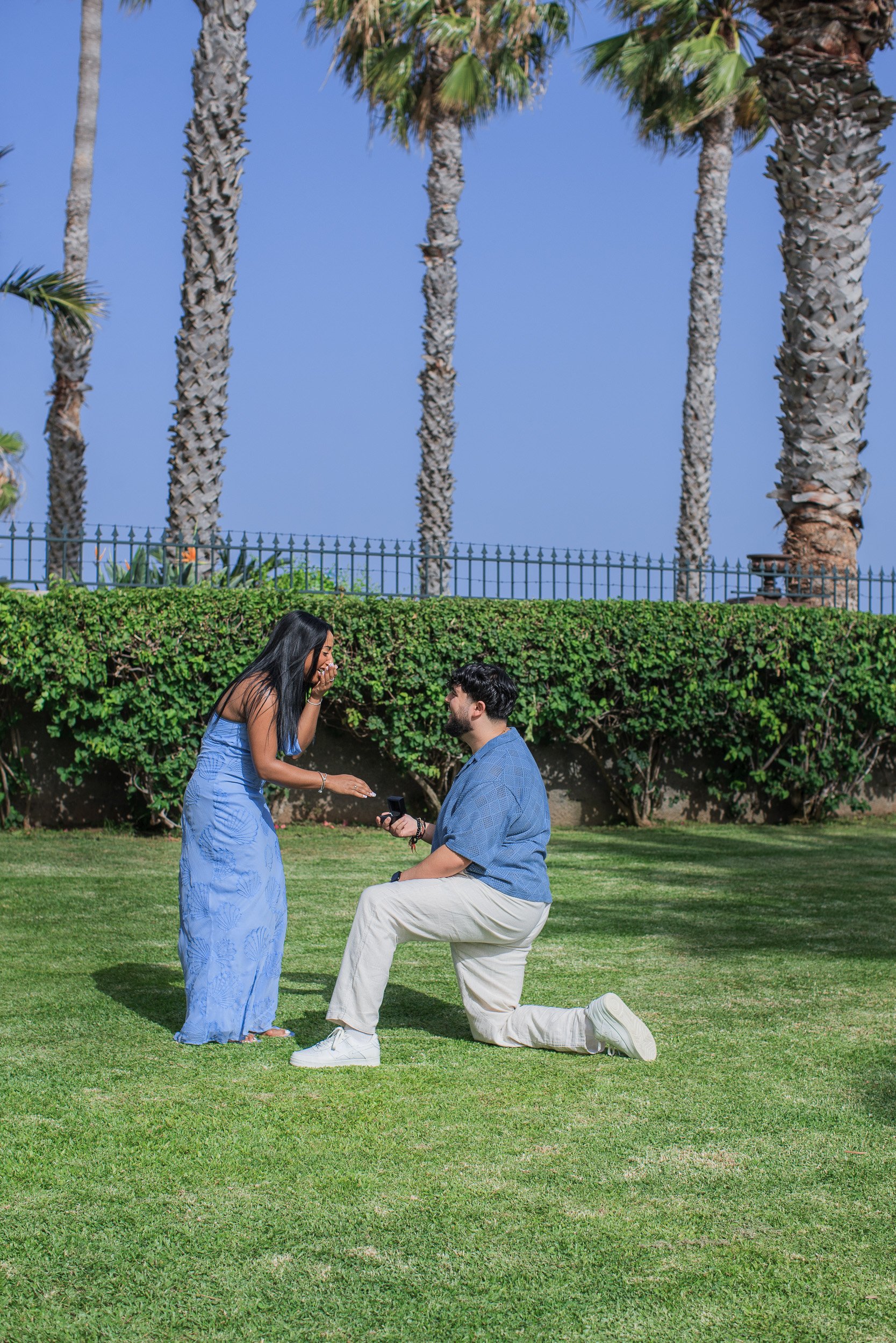 On one knee with the ring box open on the grass, central Funchal, Madeira