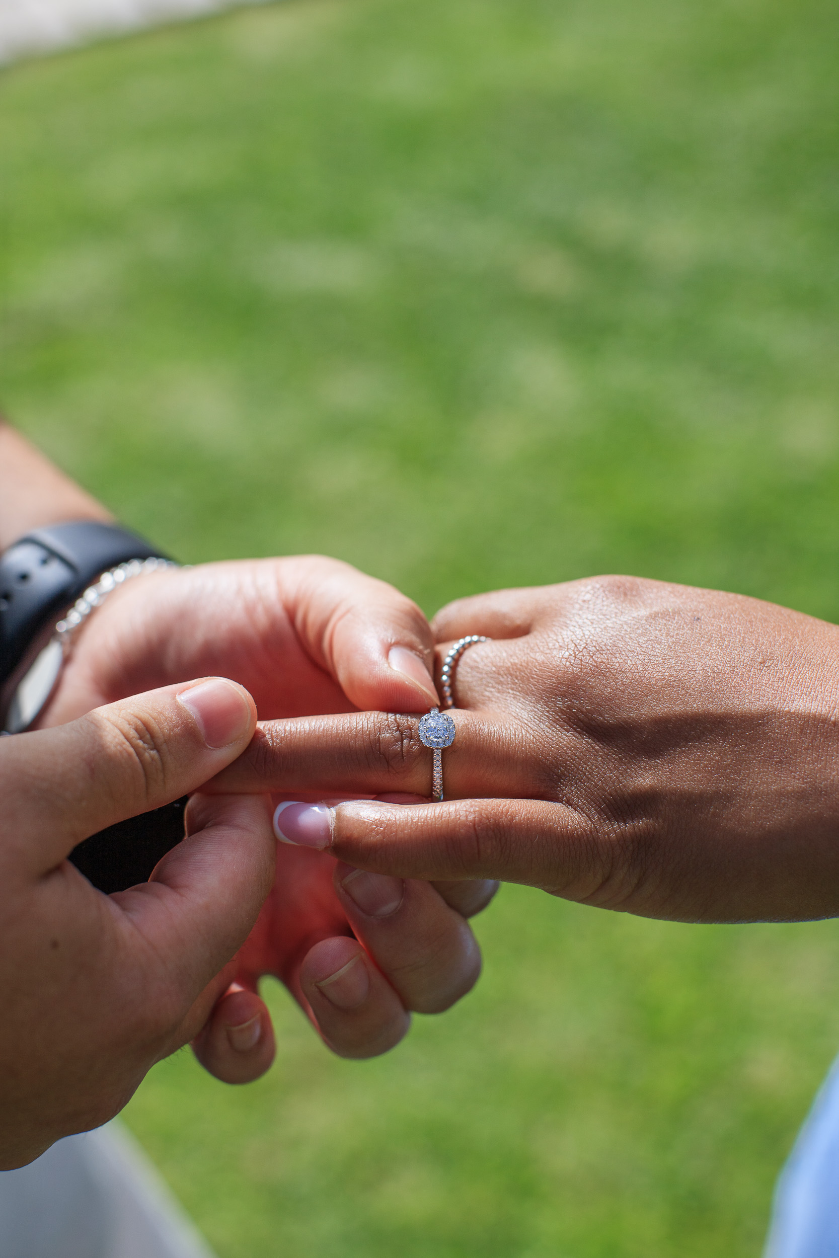Sliding the engagement ring onto her finger on the lawn, Funchal, Madeira