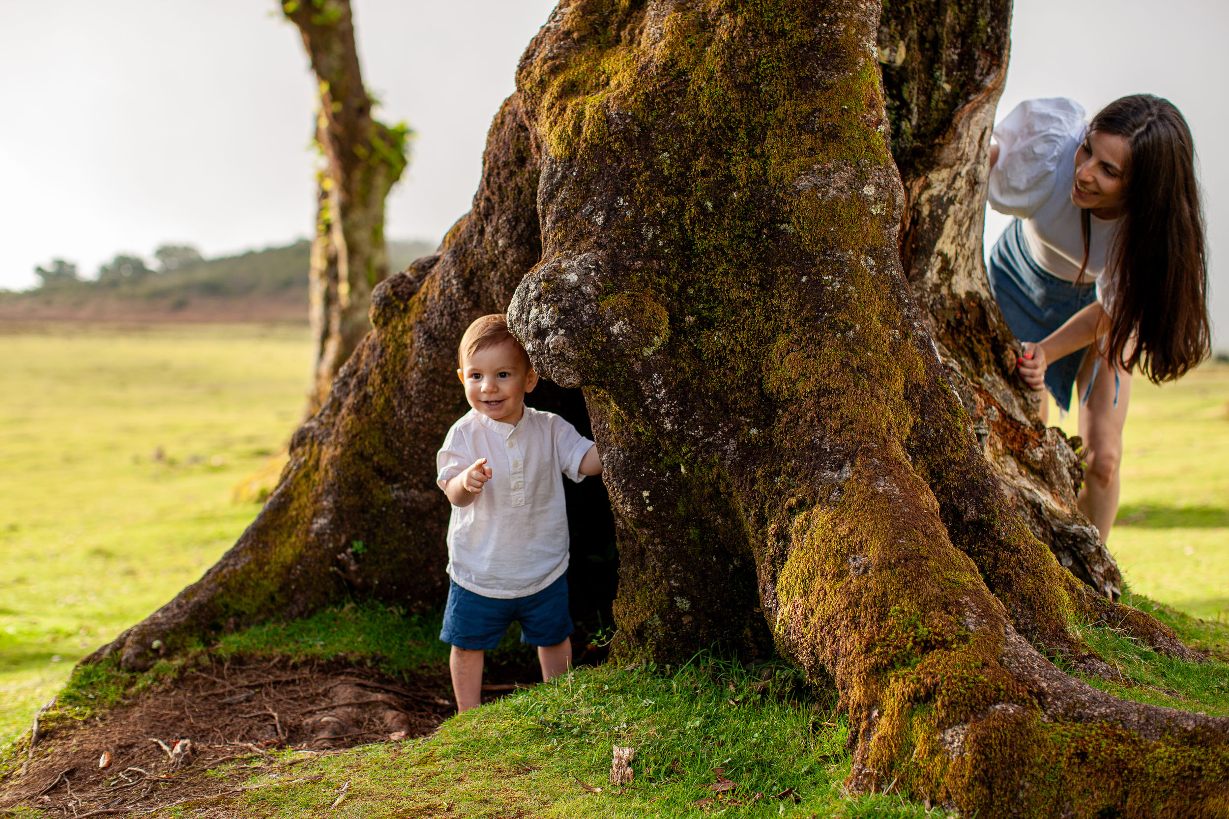 Mother and toddler playing peekaboo around a moss-covered laurel trunk in Fanal Forest, Madeira
