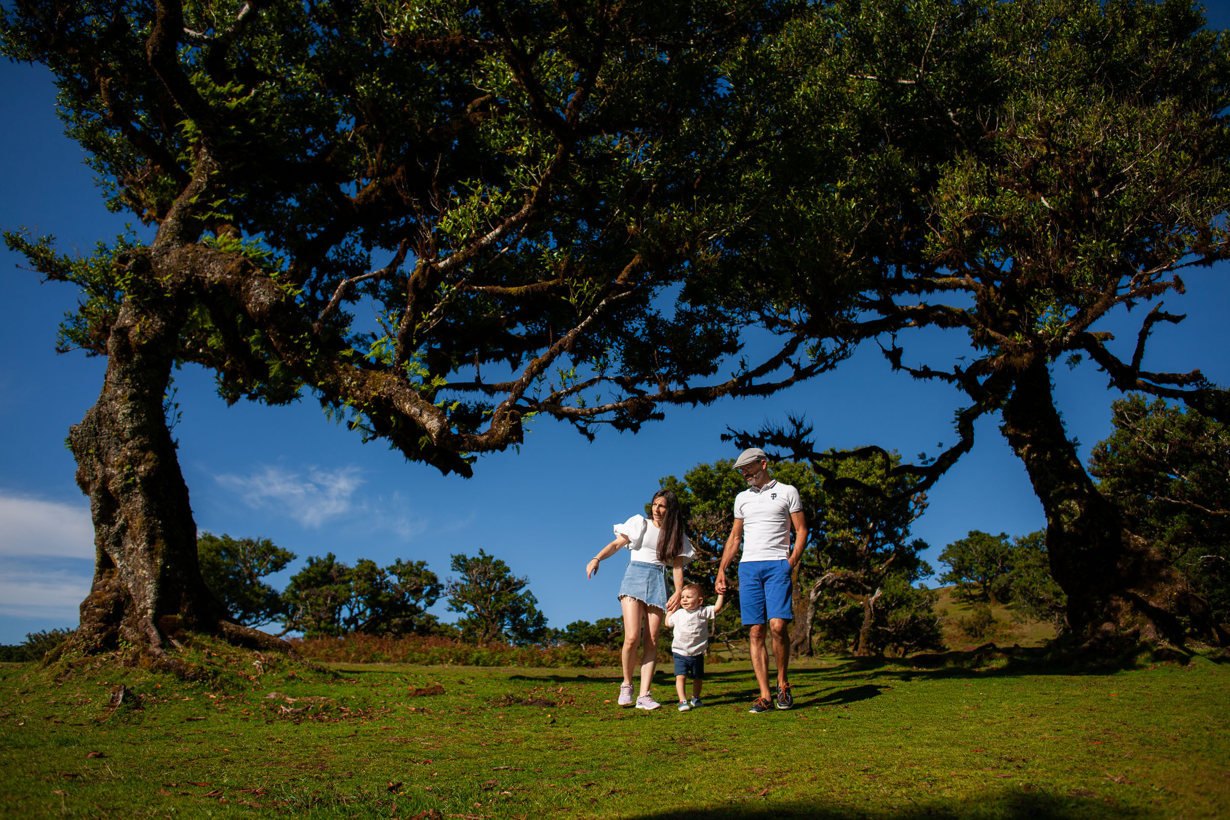 Family of three walking together under ancient laurel trees, bright blue sky above, green meadow, Fanal Forest, Madeira