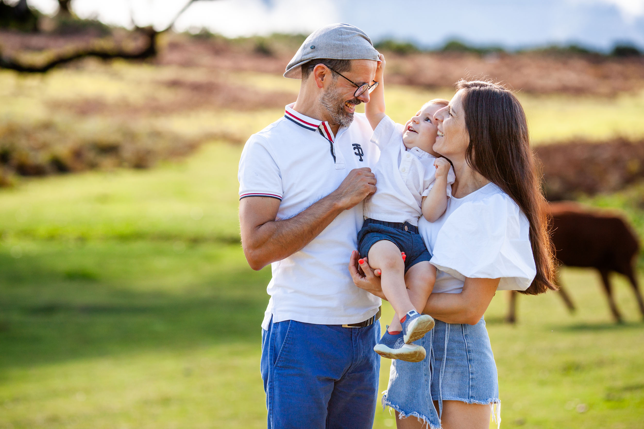 Parents look at each other over baby boy, cow grazing in the meadow behind, warm afternoon light, Fanal Forest, Madeira