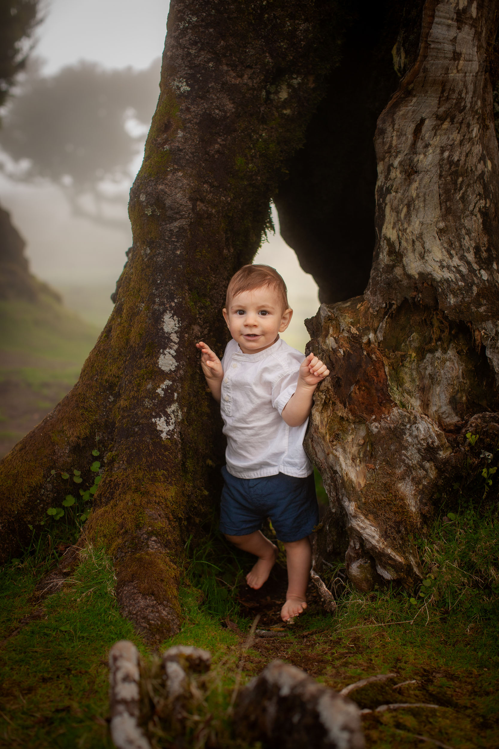 Baby boy stands barefoot in the hollow of a massive moss-covered laurel tree, fog drifting behind, Fanal Forest, Madeira