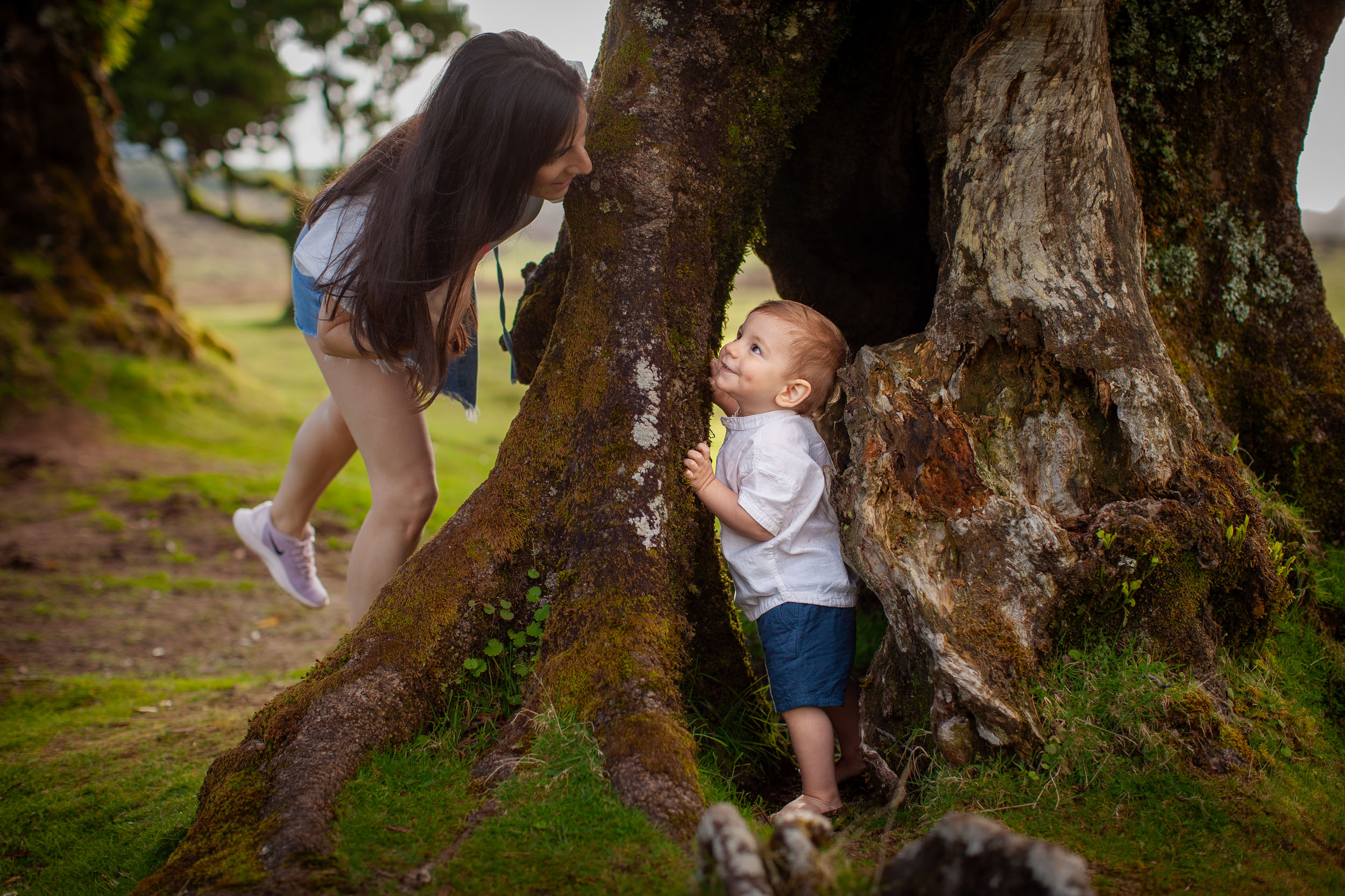 Mother crouches and peeks at baby through a gap in ancient laurel tree roots, both smiling at each other, Fanal Forest, Madeira