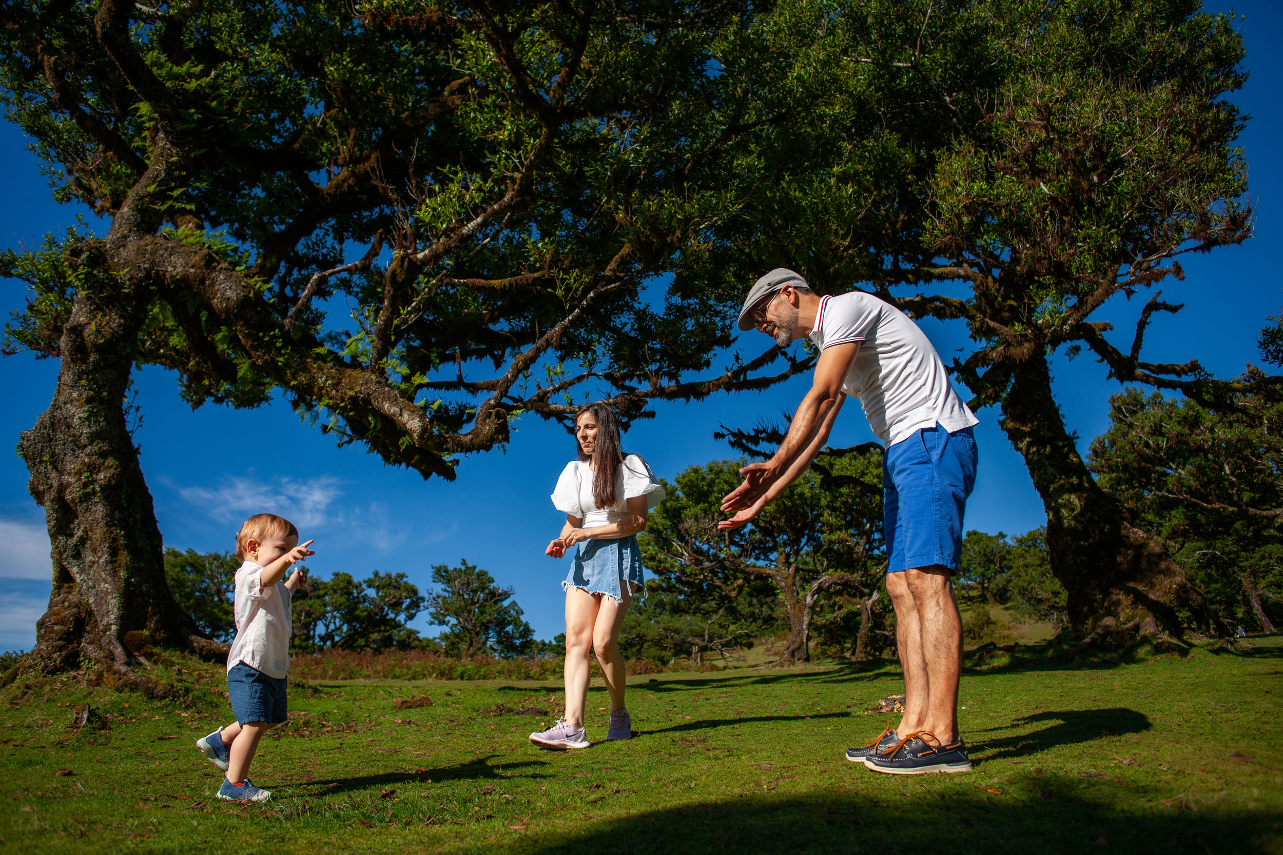 Family plays on open meadow, father reaches toward toddler walking toward him, mother beside, blue sky and laurel trees behind, Fanal Forest, Madeira