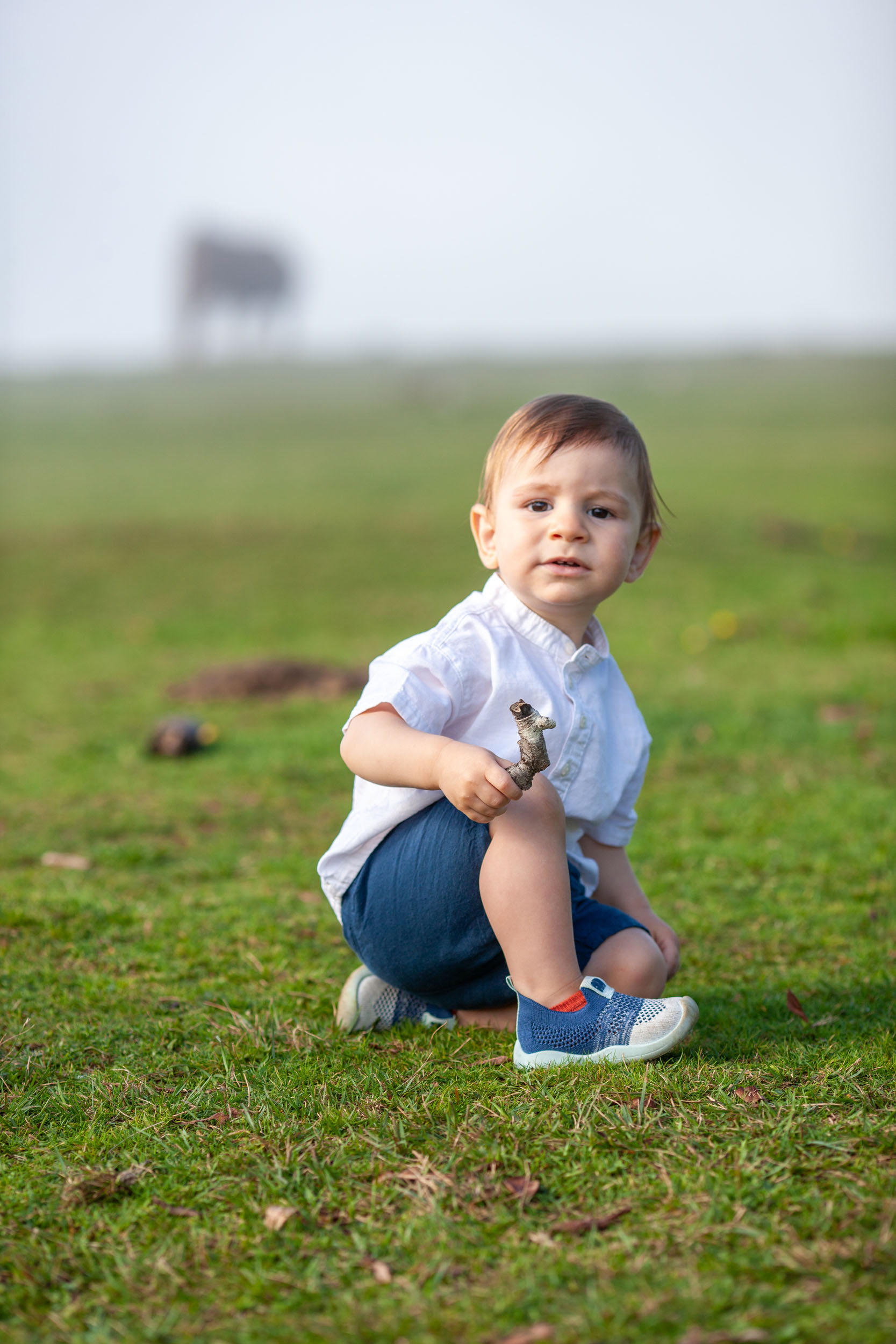 Baby boy sits alone on green grass holding a stick, solitary cow and fog barely visible on the plateau behind, Fanal Forest, Madeira