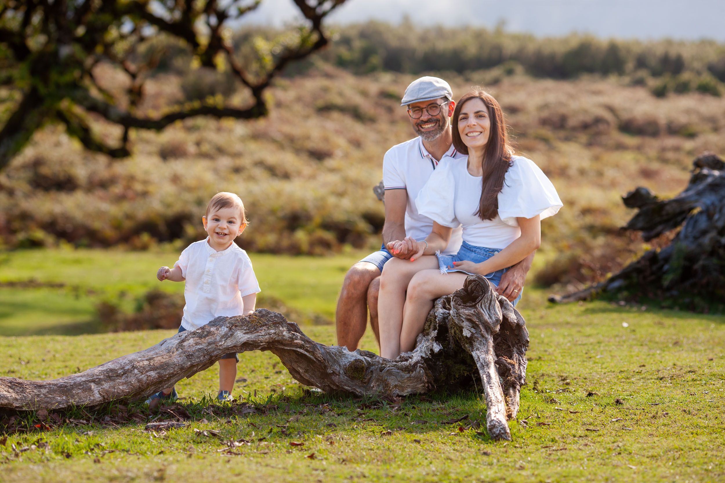 Parents seated on a fallen laurel log with baby between them, all smiling, warm afternoon light, Fanal Forest, Madeira