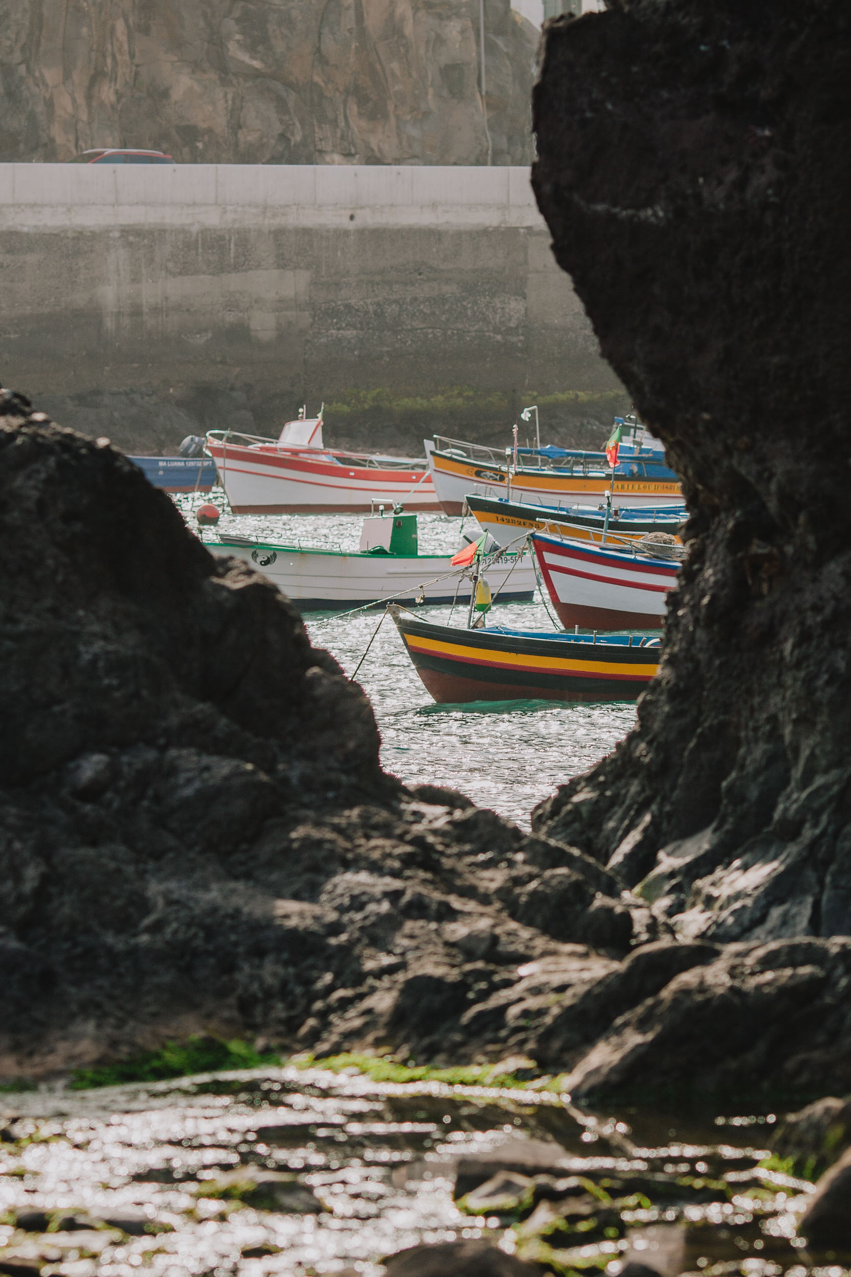 Painted fishing boats moored in Câmara de Lobos harbour, framed by volcanic rock, Madeira