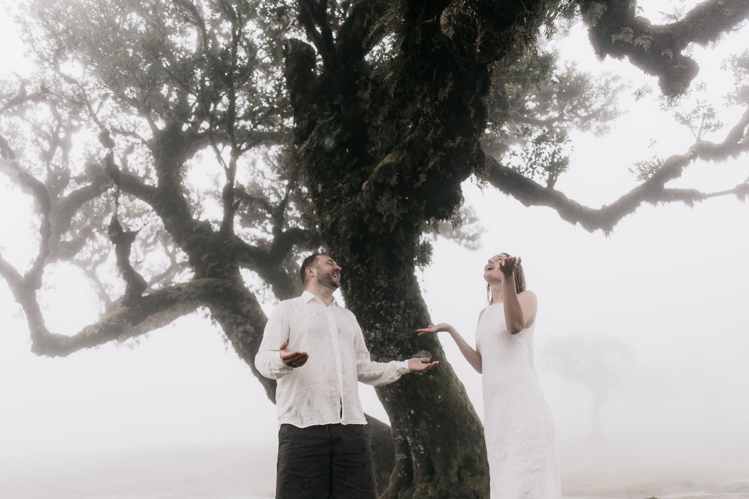 Couple beneath the canopy of a twisted laurel tree, fog softening the background, Fanal Forest, Madeira