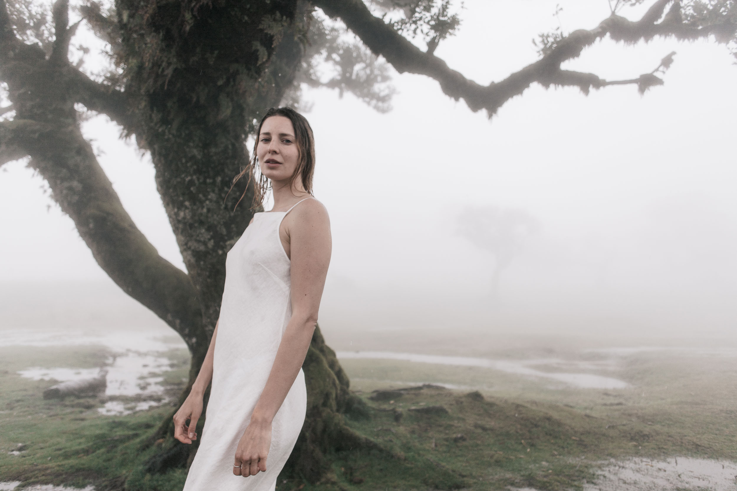 Woman standing among centuries-old laurel trees in the mist, Fanal Forest, Madeira