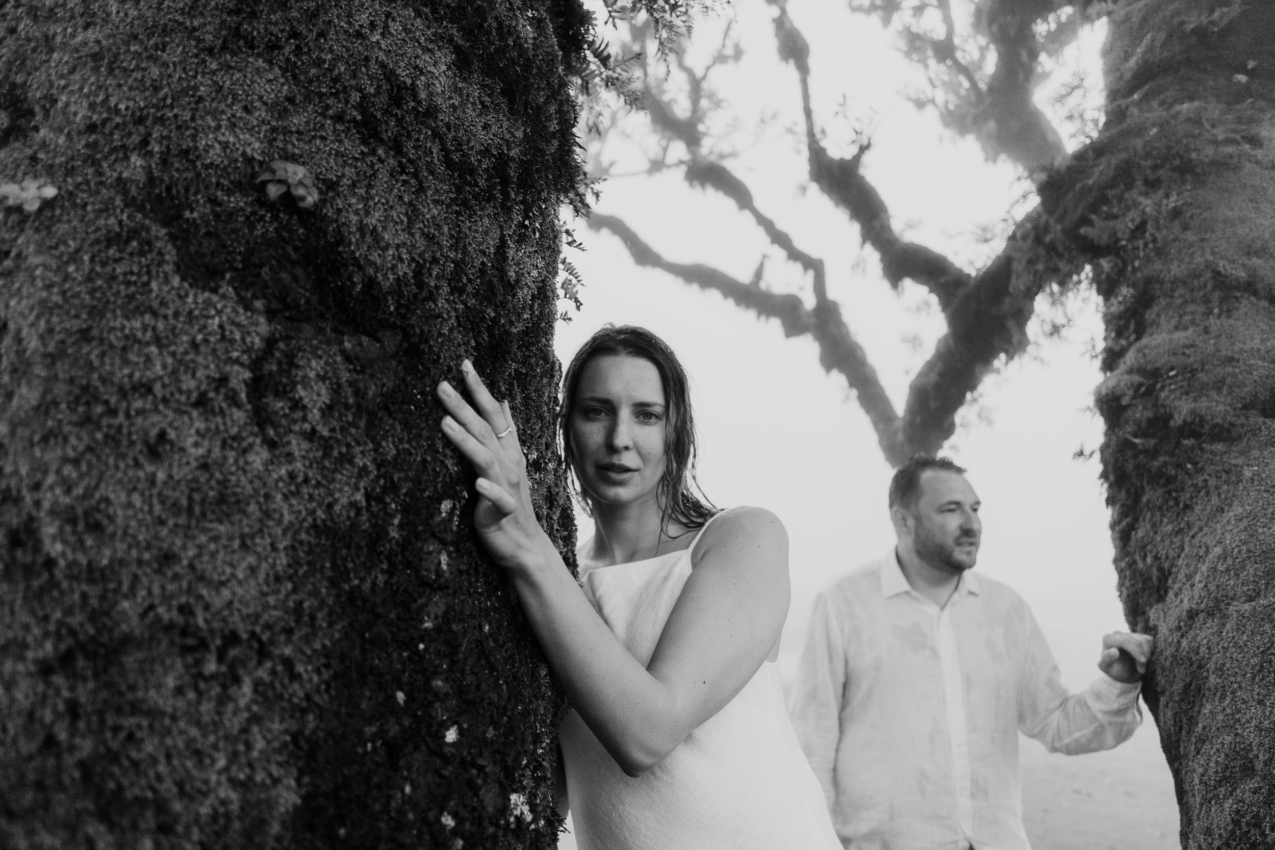 Couples portrait in the mist of Fanal Forest, gnarled laurel trunks framing the figures, Madeira