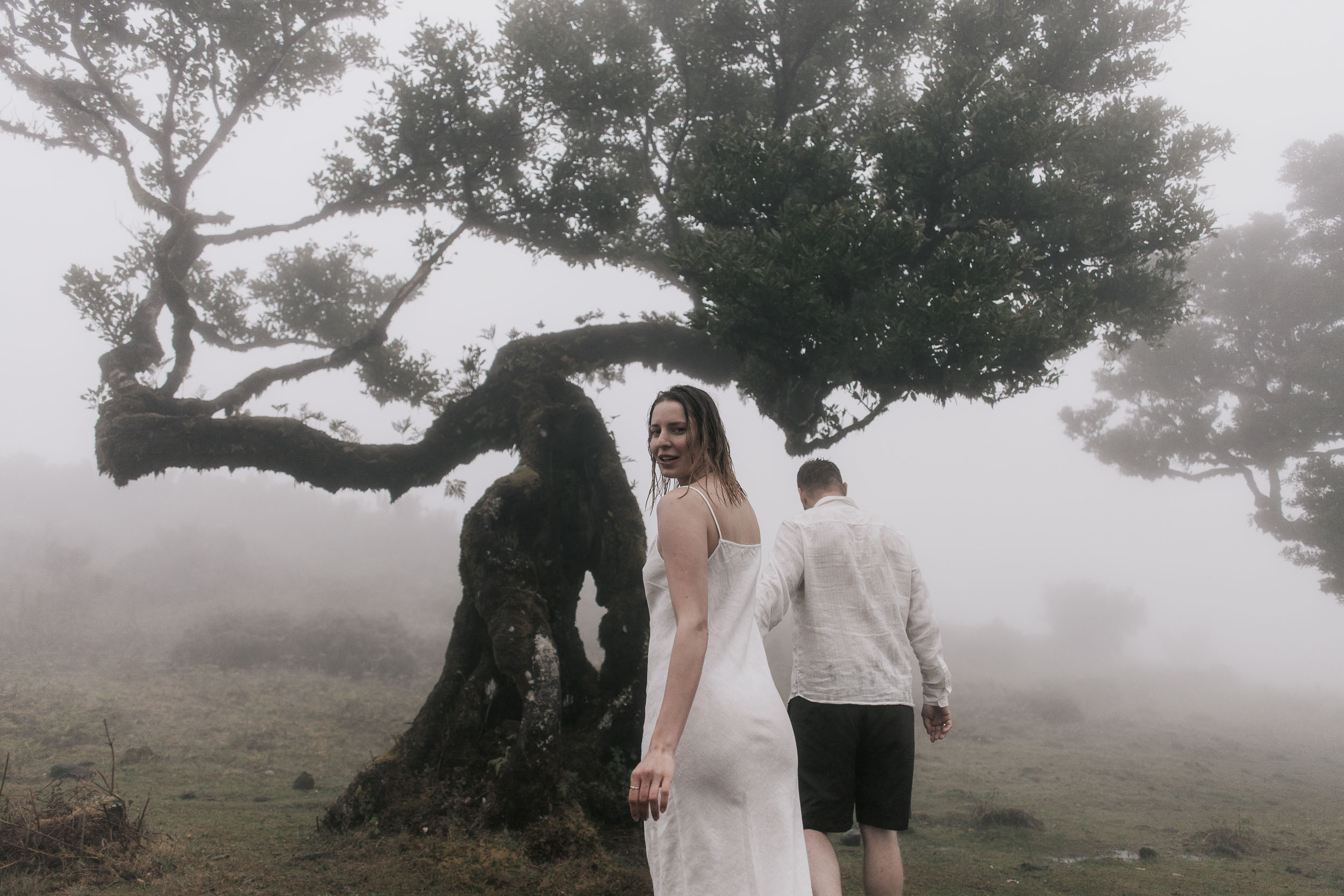 Intimate portrait in the laurel mist, Fanal Forest, Madeira