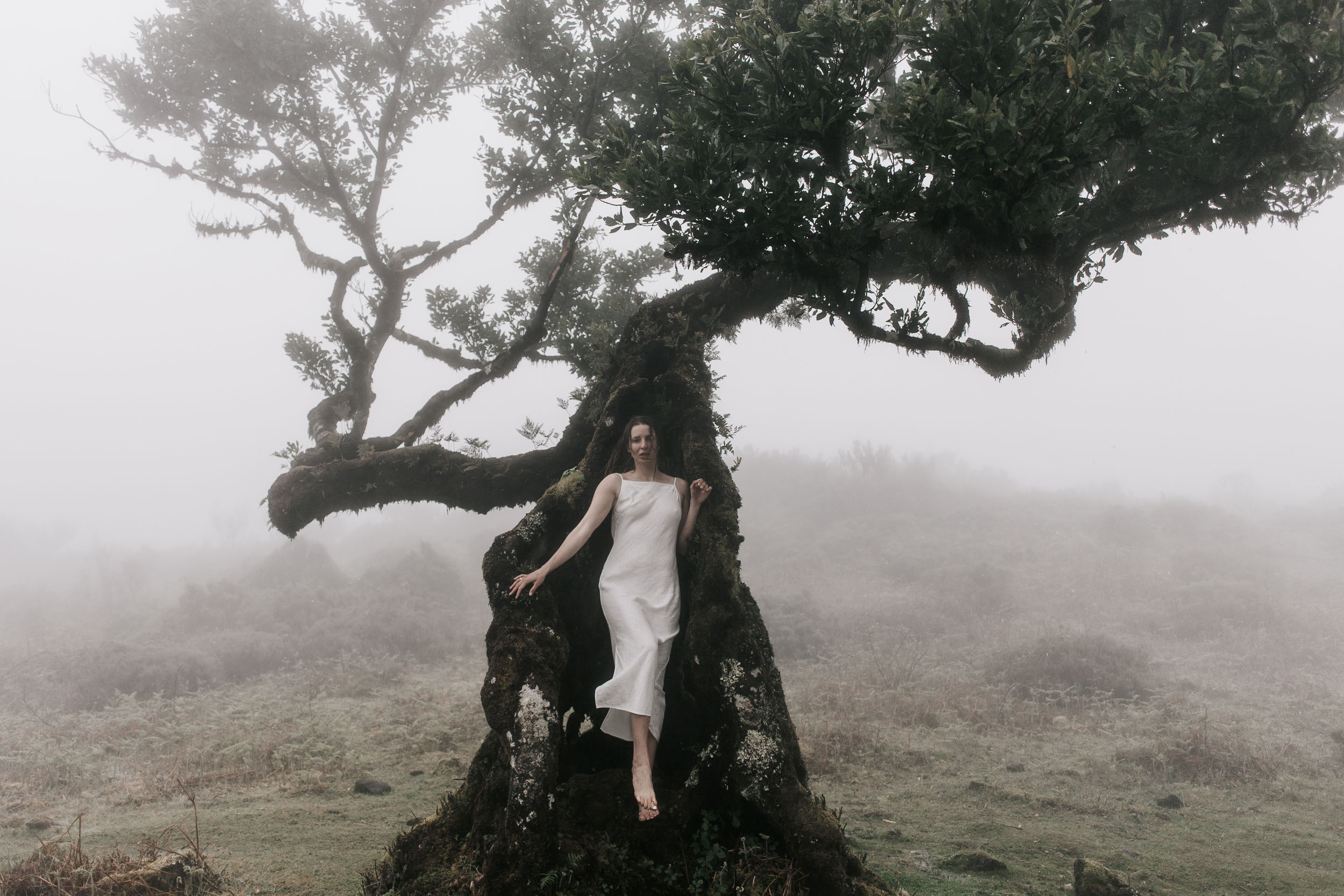 Couple beneath the canopy of a twisted laurel tree, fog softening the background, Fanal Forest, Madeira