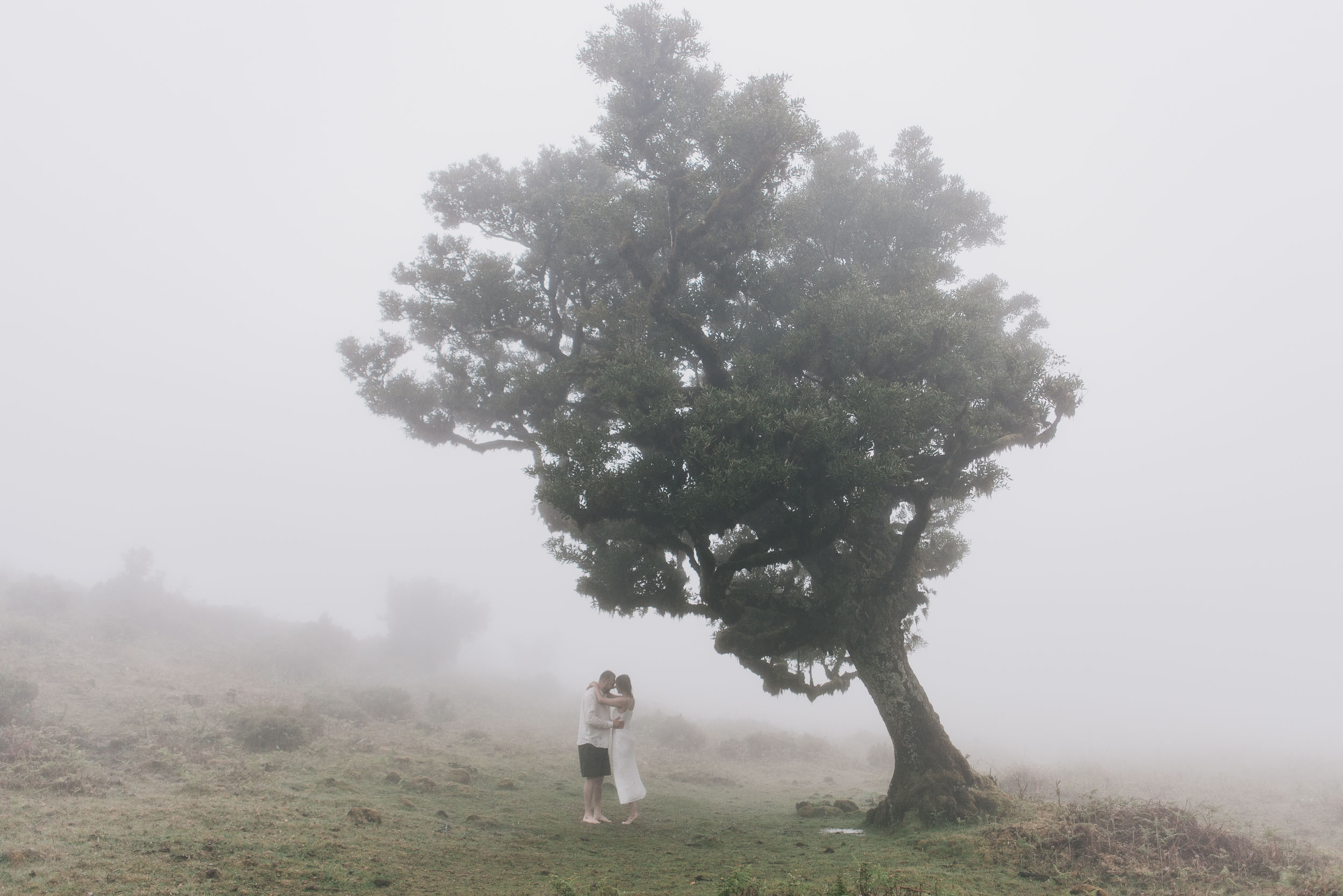 Couple holding hands under the laurels at Fanal, dense fog behind, Madeira