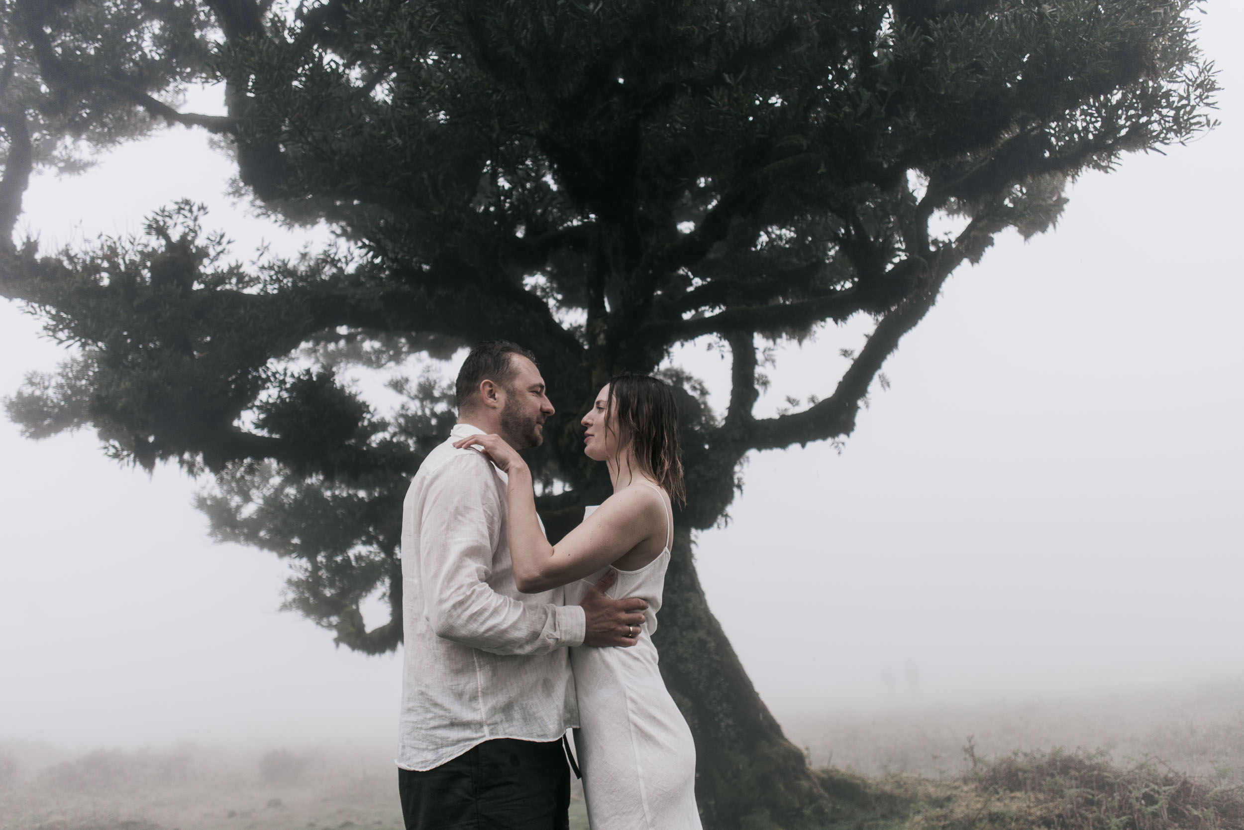 Couples portrait in the mist of Fanal Forest, gnarled laurel trunks framing the figures, Madeira