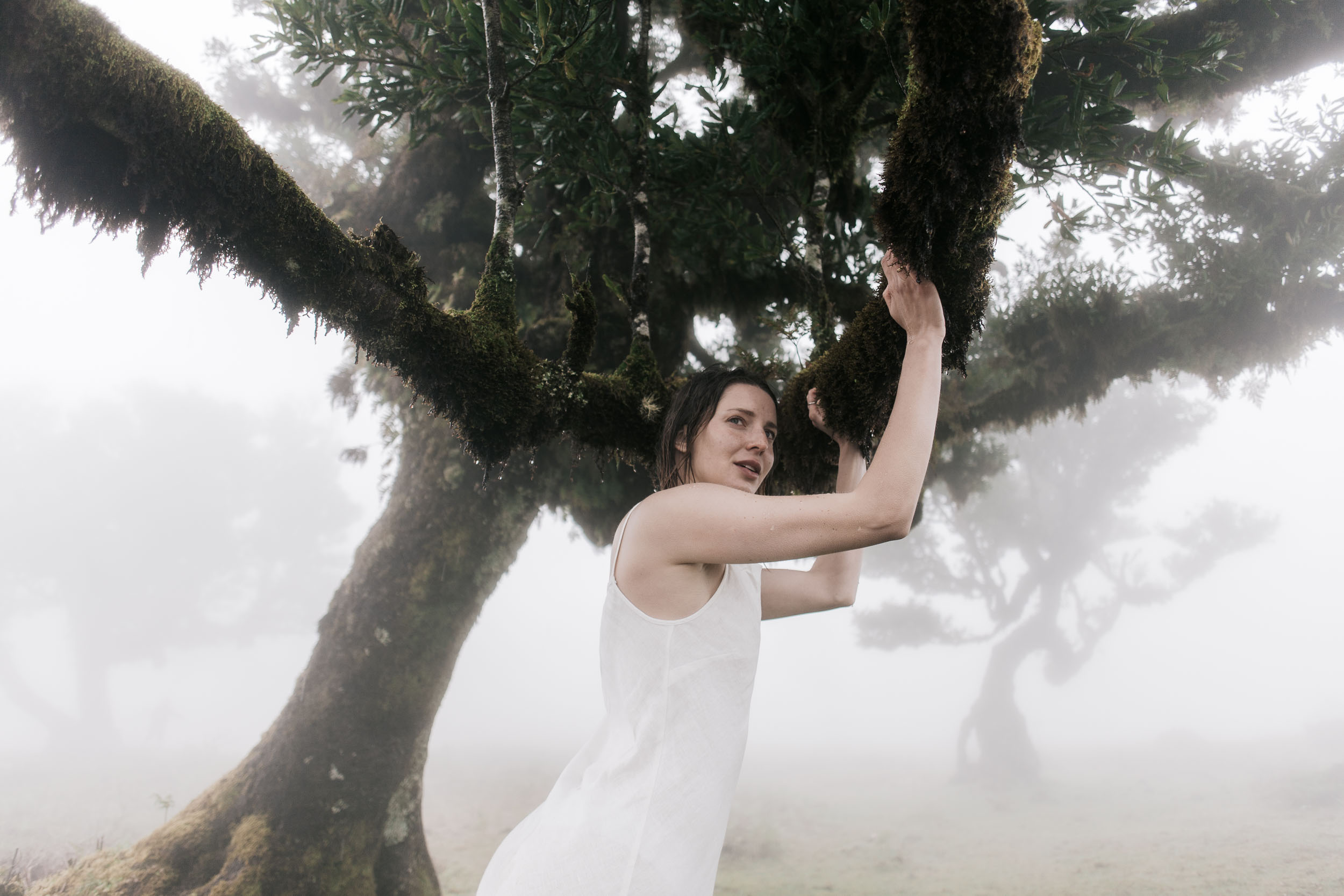 Intimate portrait in the laurel mist, Fanal Forest, Madeira