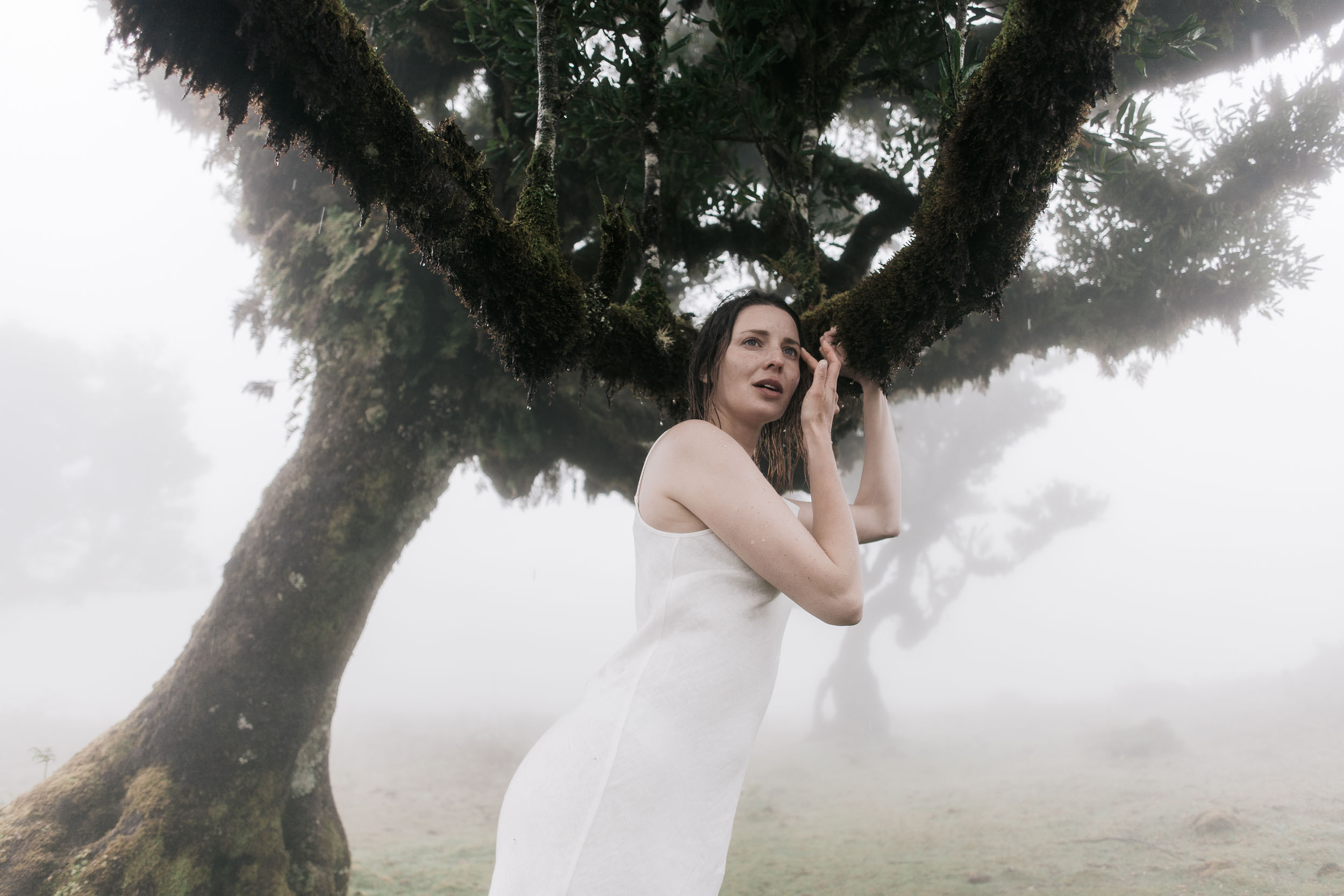 Couple beneath the canopy of a twisted laurel tree, fog softening the background, Fanal Forest, Madeira