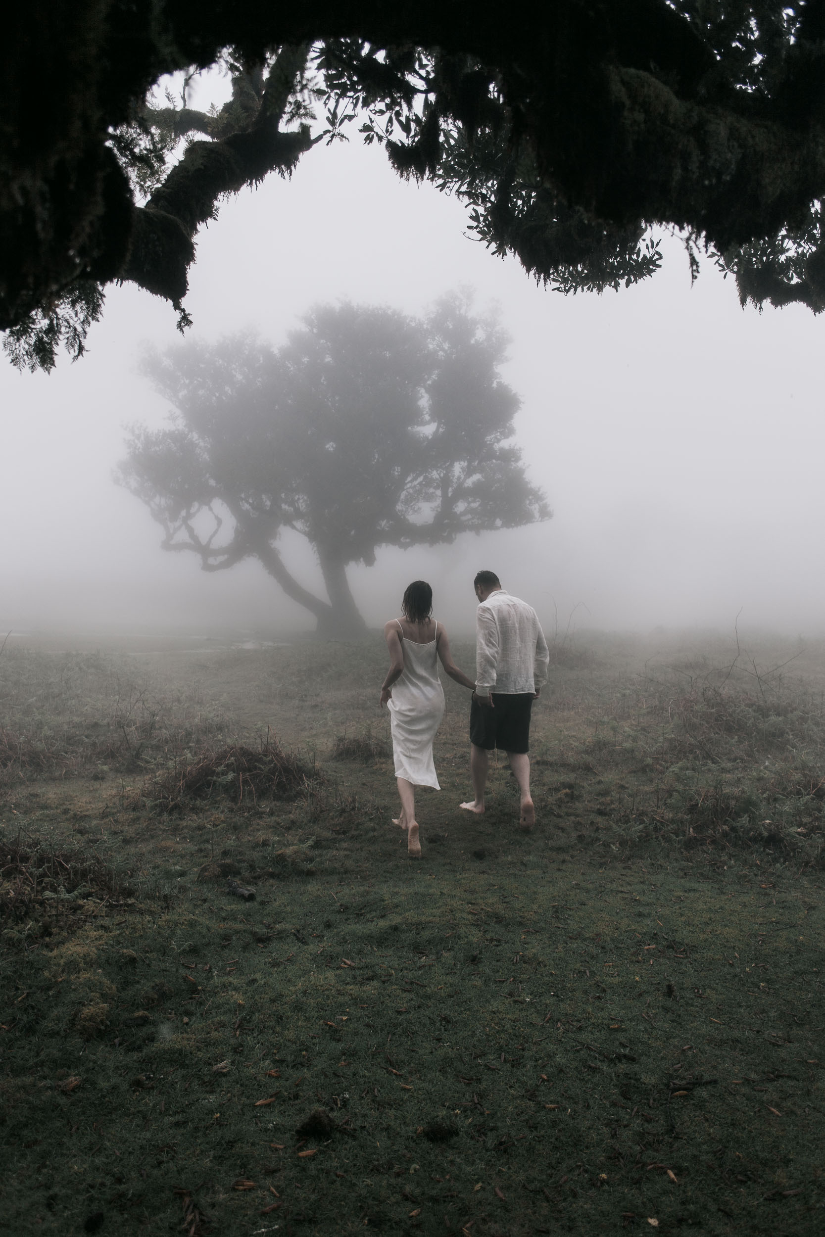 Couple in white linen under ancient laurel trees in dense afternoon fog, Fanal Forest, Madeira