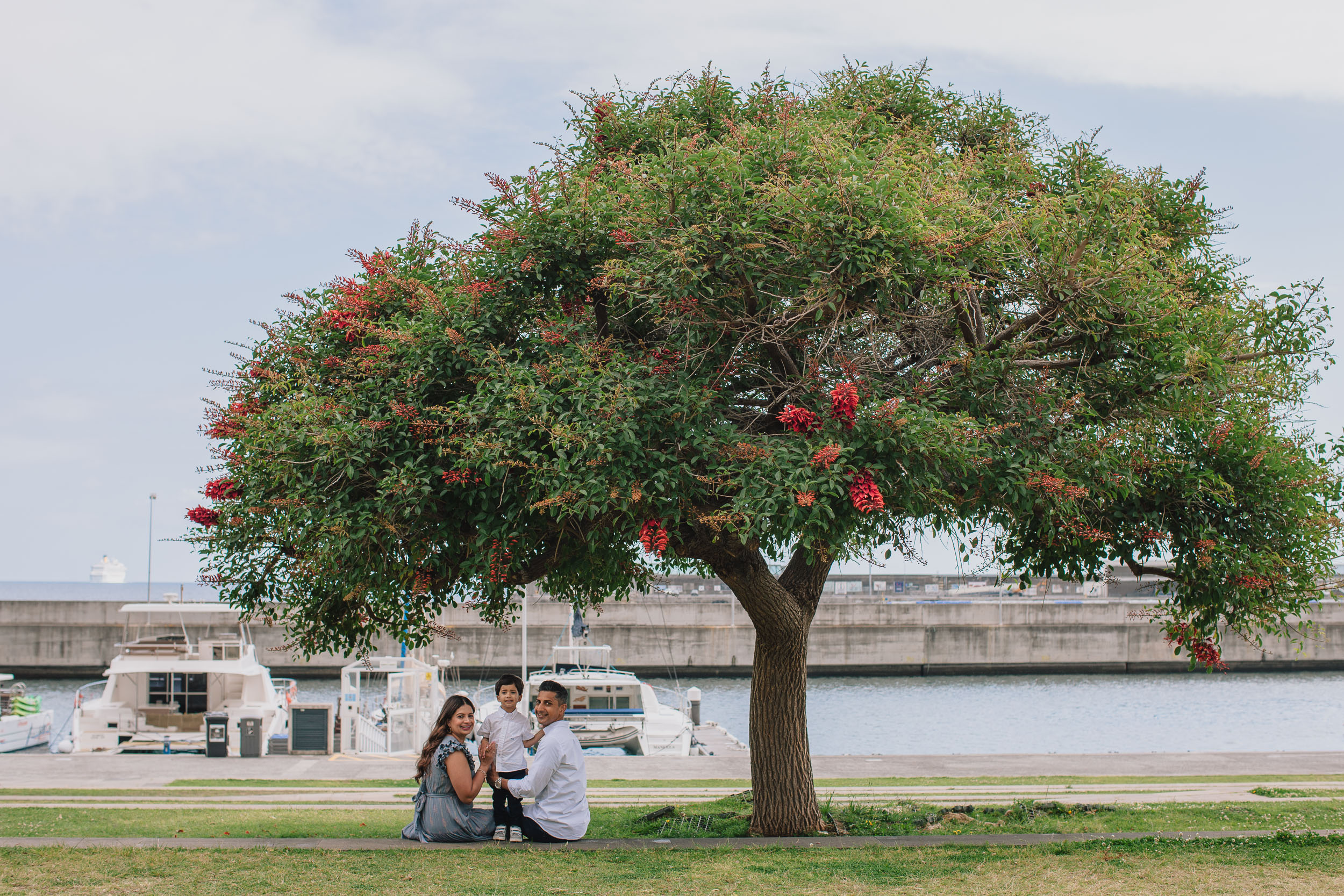 Family of three under a red-bloomed tree by Funchal marina, boy in father's lap, yachts and marina behind, sunny, Madeira