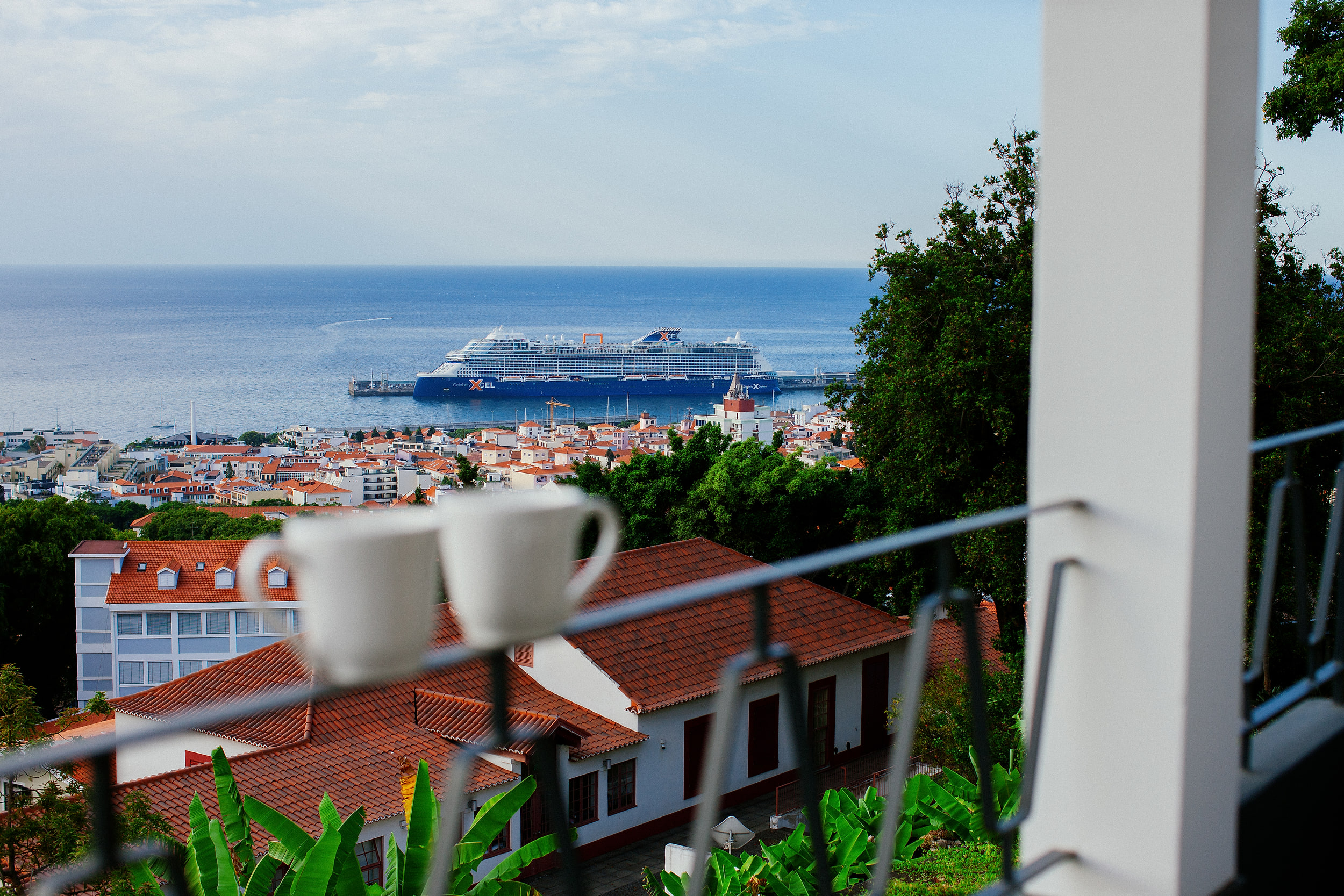 Two white cups on the balcony rail, the cruise ship and Funchal harbour behind them