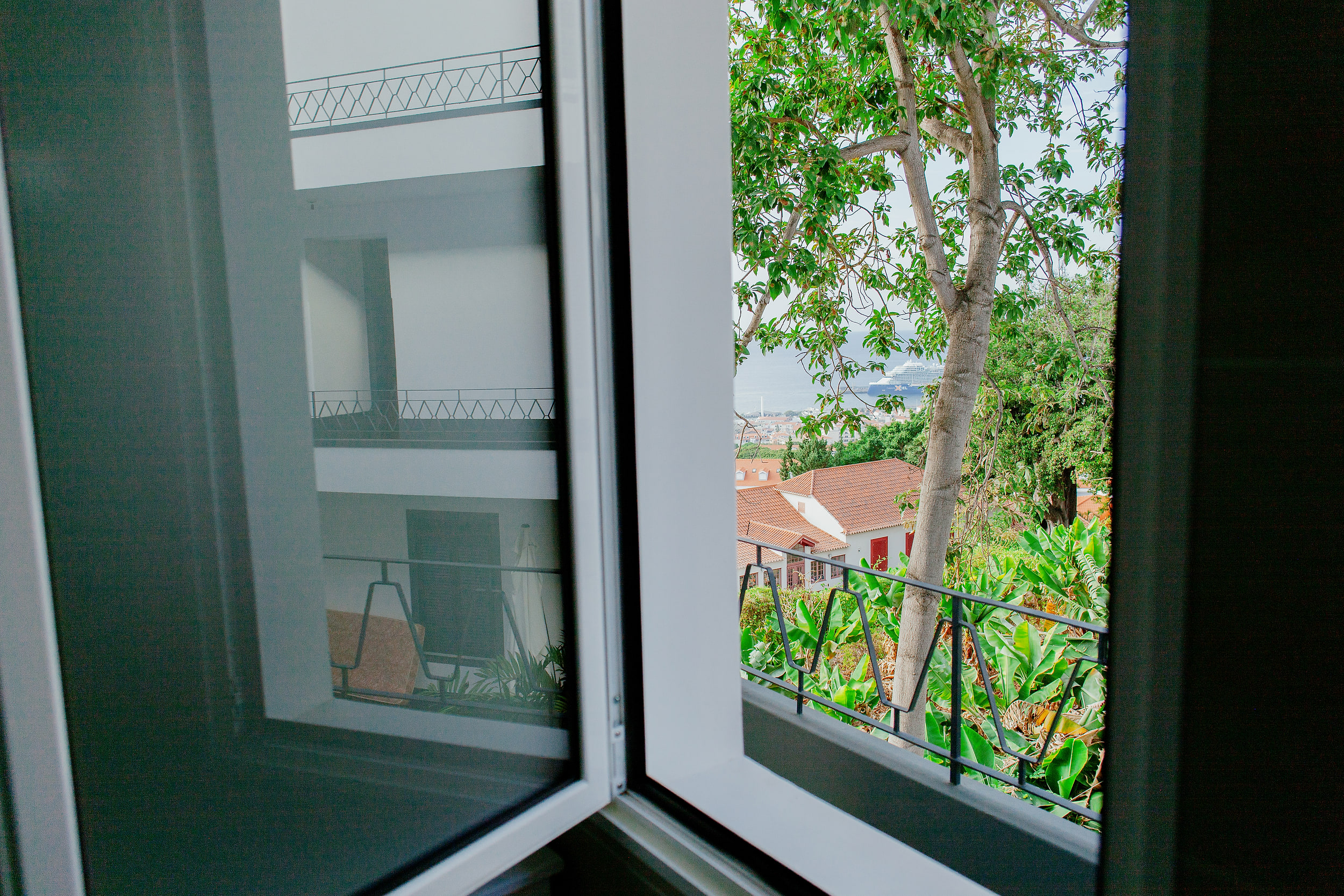 Open window onto a tree, banana plants and a cruise ship in the harbour